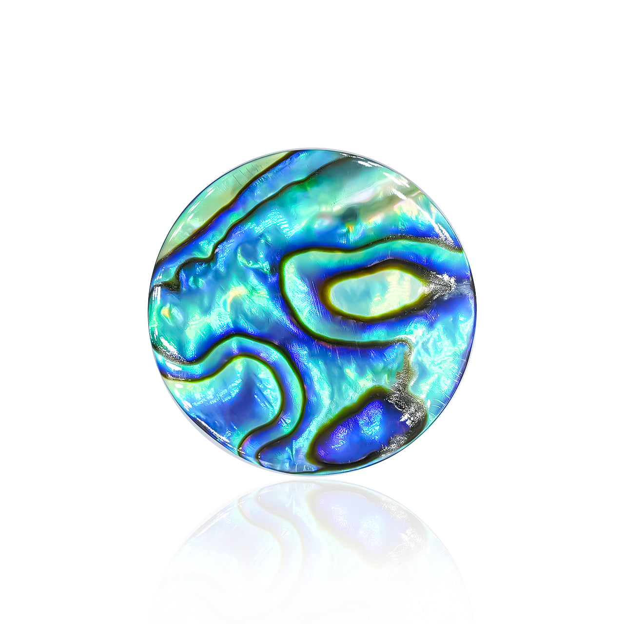 Round 20mm Abalone Shell