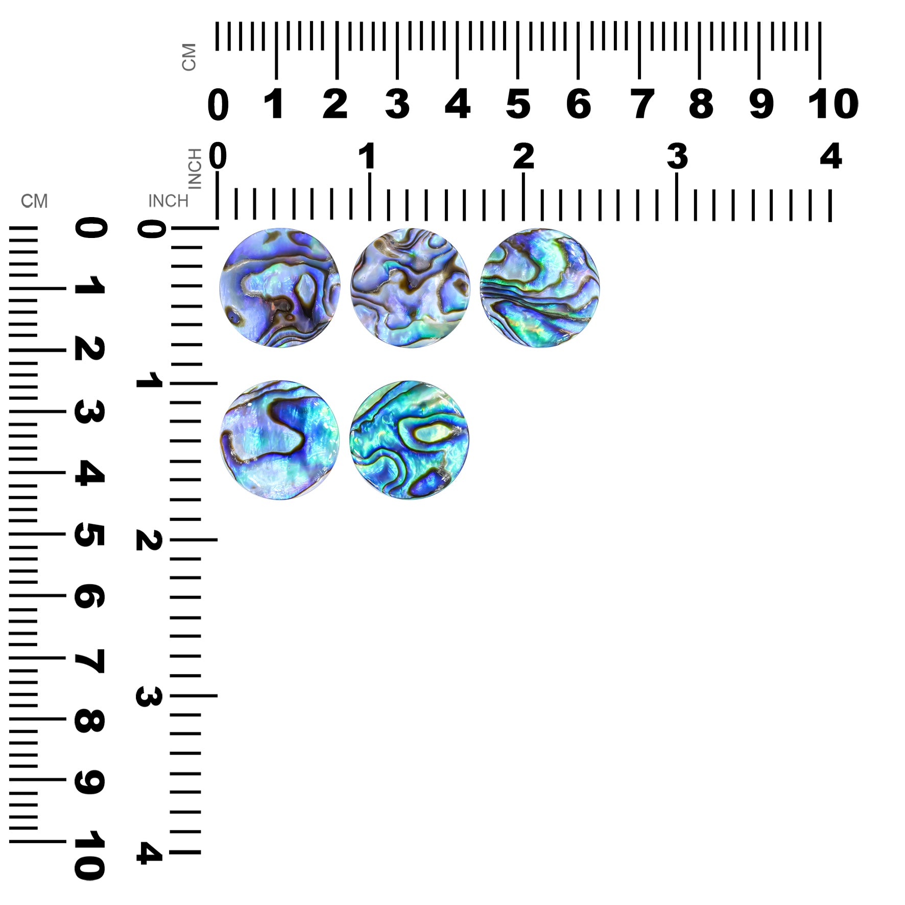Round 20mm Abalone Shell