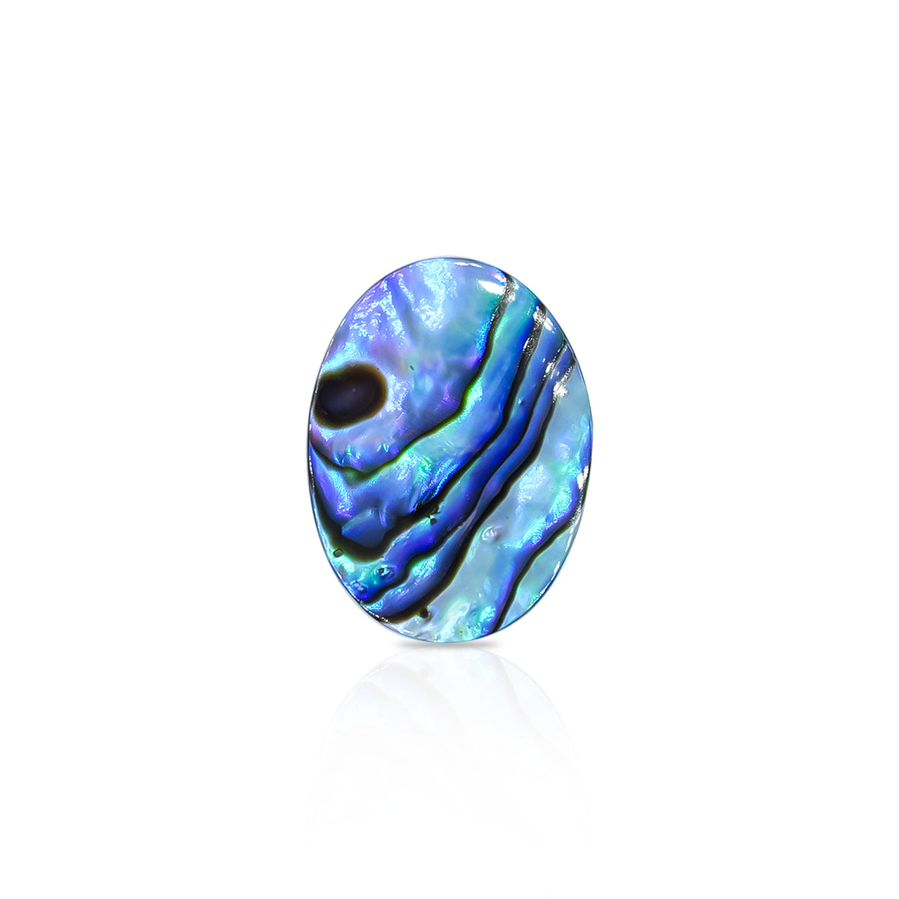 Abalone Shell oval cabochon 18x13 mm