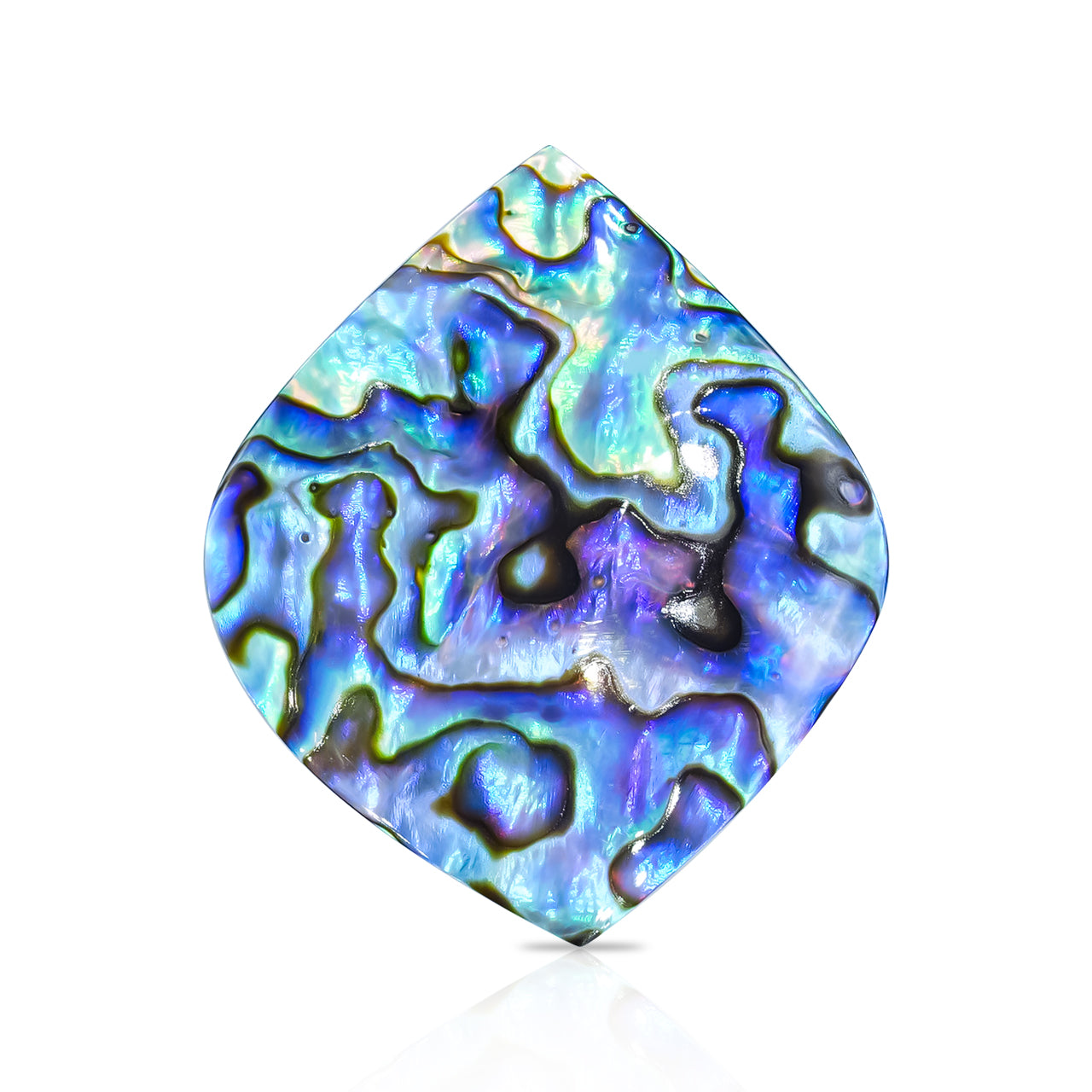 Starborn Abalone Shell Onion Cabochon - 1 Piece