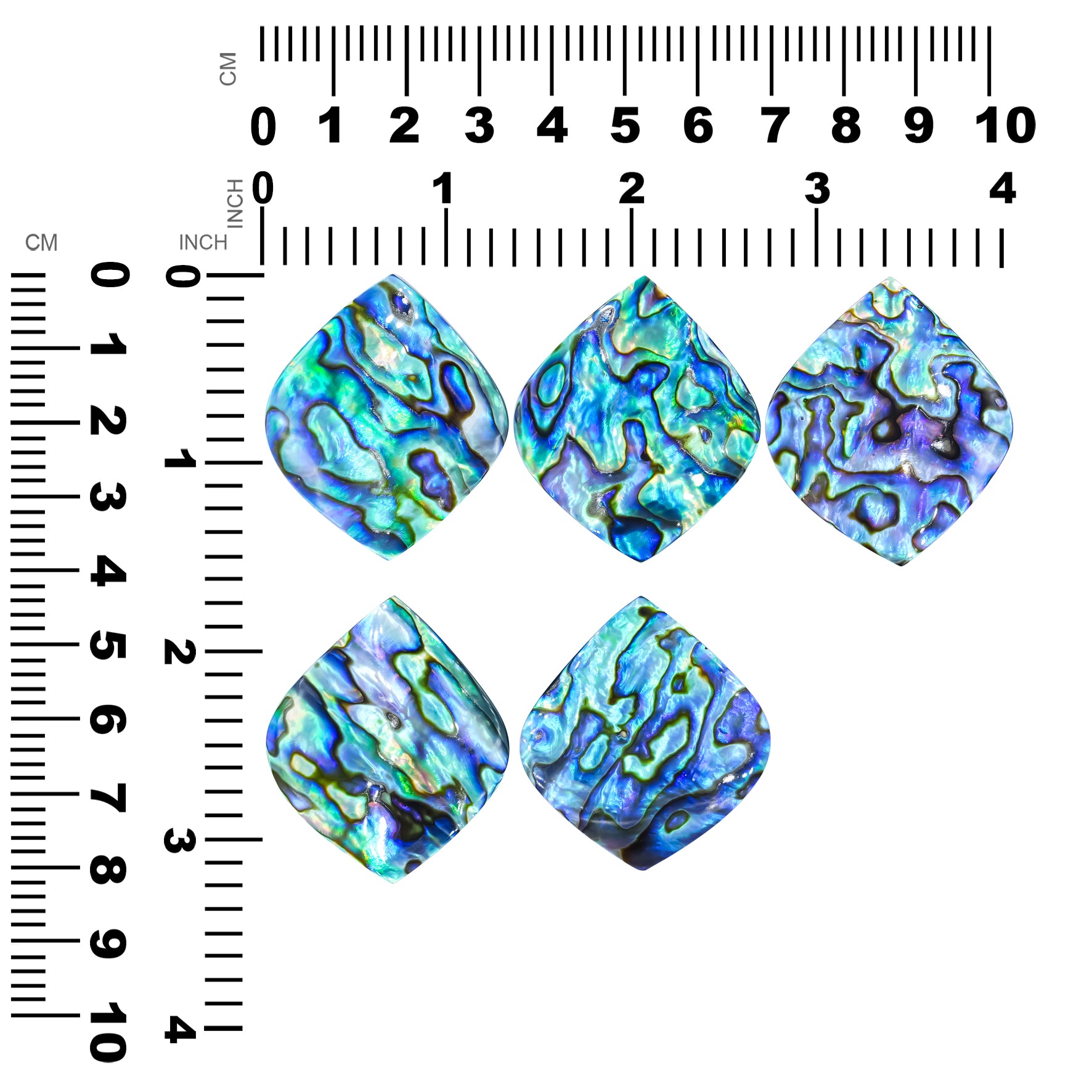 Starborn Abalone Shell Onion Cabochon - 1 Piece