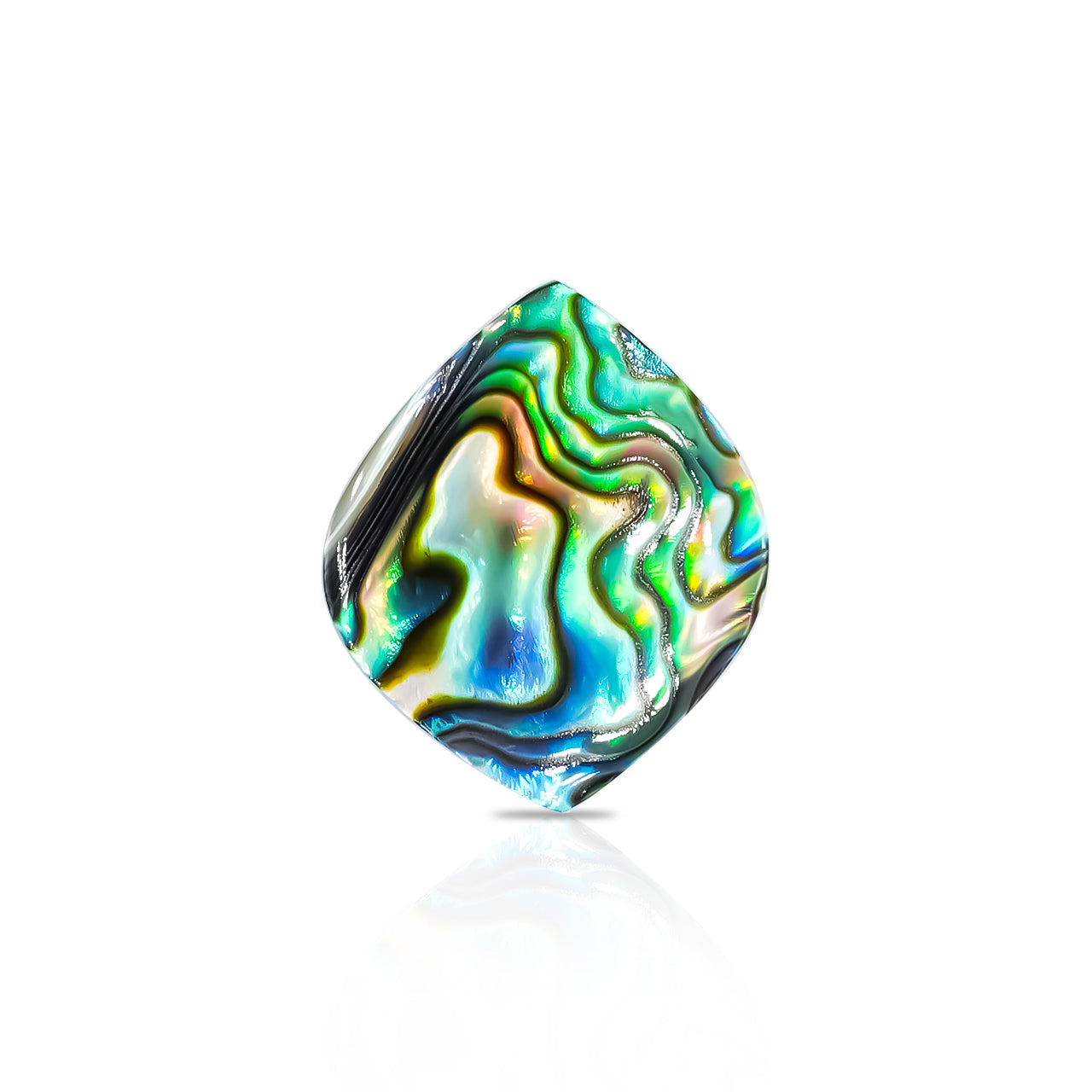 Starborn Abalone Shell Onion Cabochon - 1 Piece