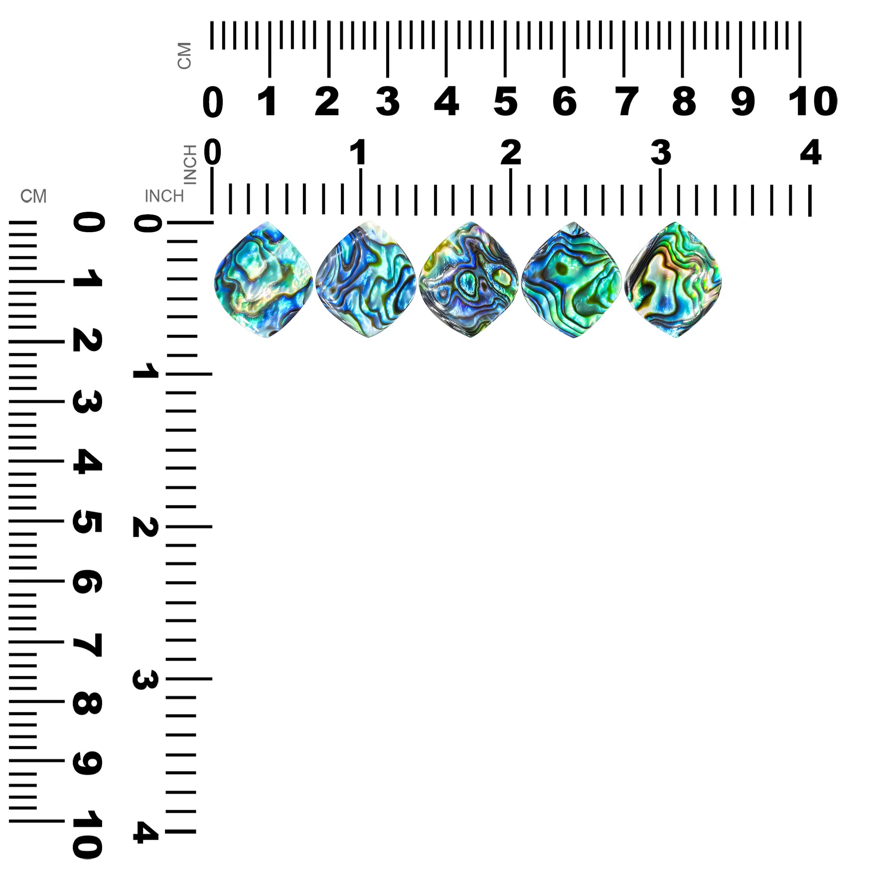 Starborn Abalone Shell Onion Cabochon - 1 Piece