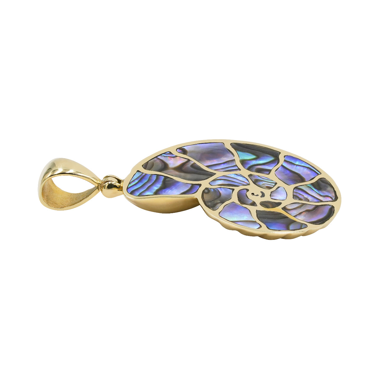 Starborn Abalone-Muschel-Nautilus-Ammonit-Anhänger