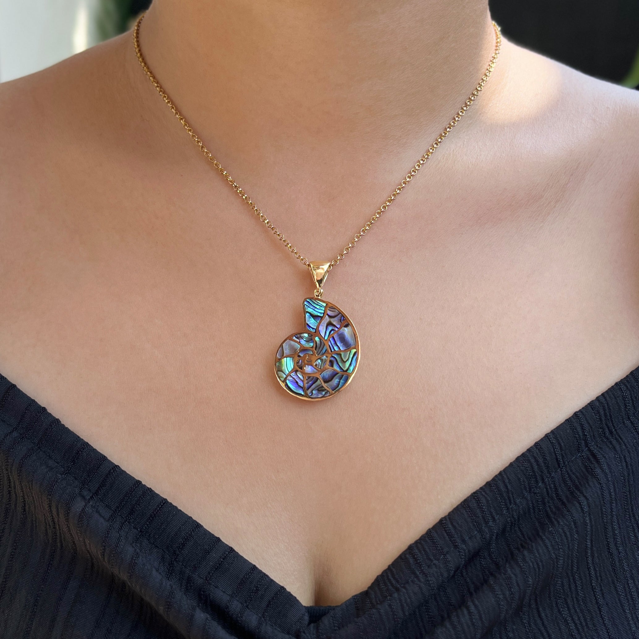 Starborn Abalone-Muschel-Nautilus-Ammonit-Anhänger