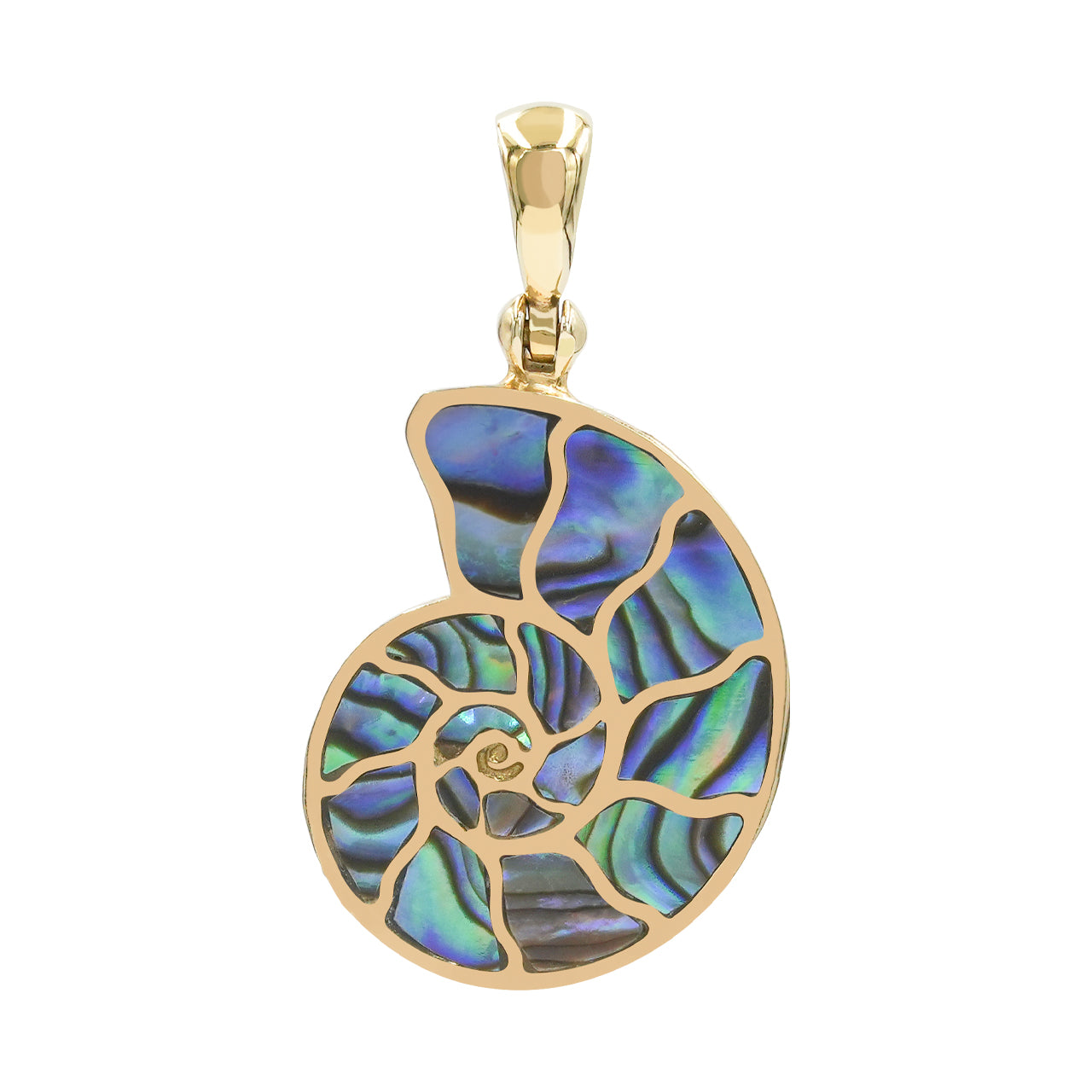 Starborn Abalone-Muschel-Nautilus-Ammonit-Anhänger
