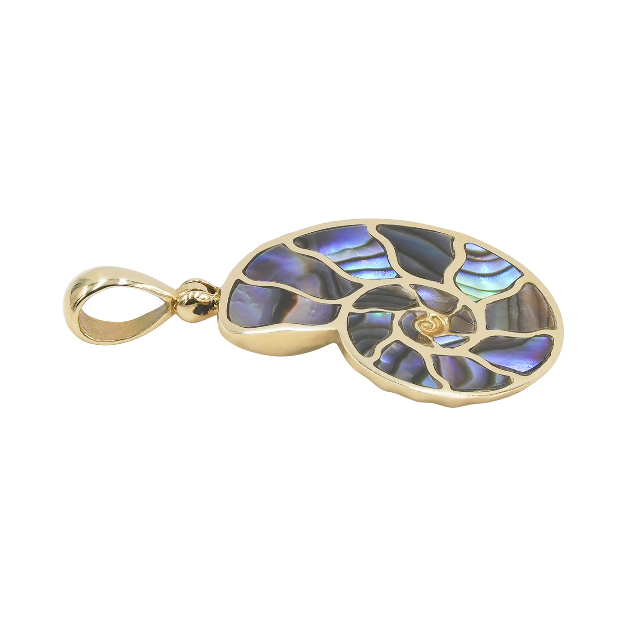 Starborn Abalone-Muschel-Nautilus-Ammonit-Anhänger