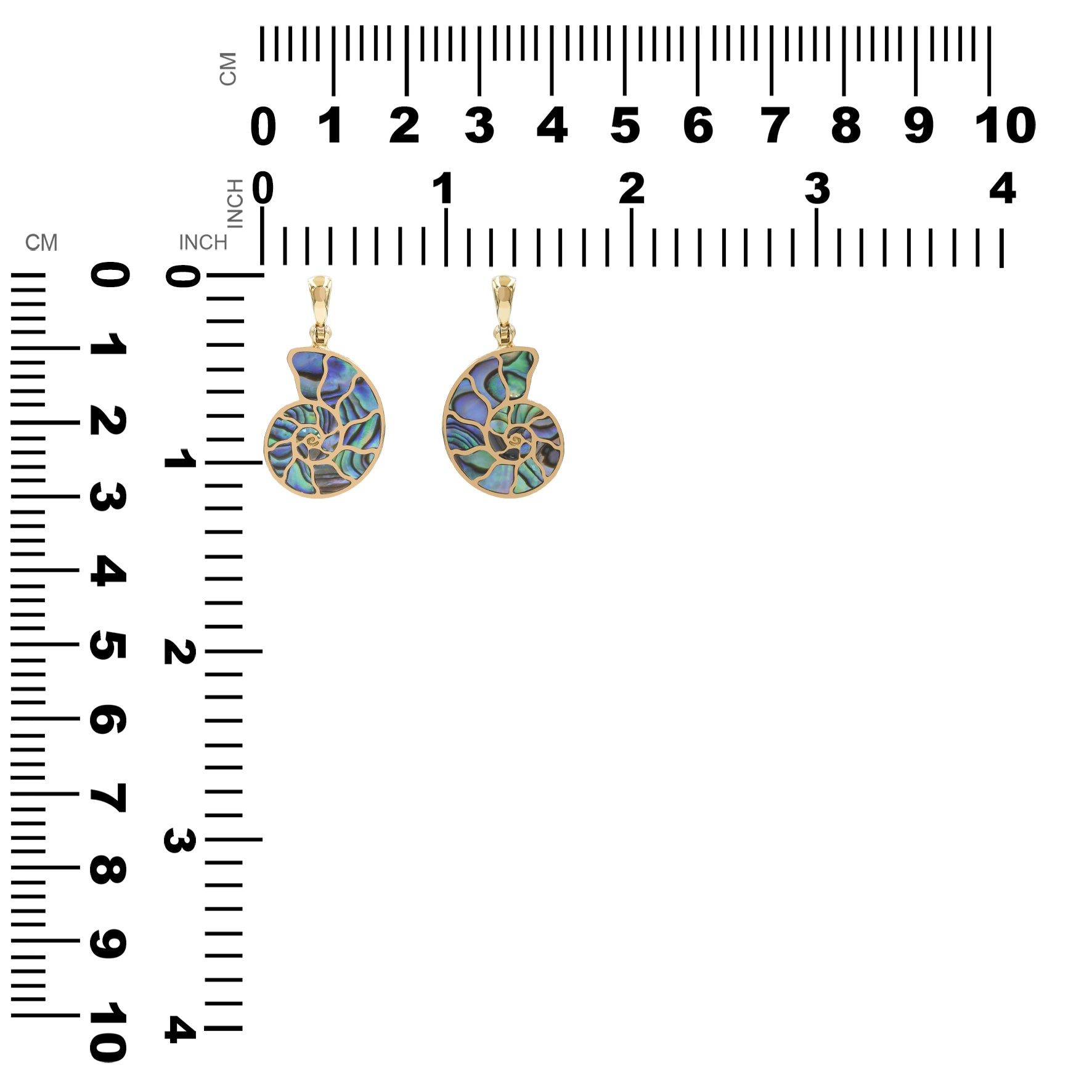Starborn Abalone-Muschel-Nautilus-Ammonit-Anhänger