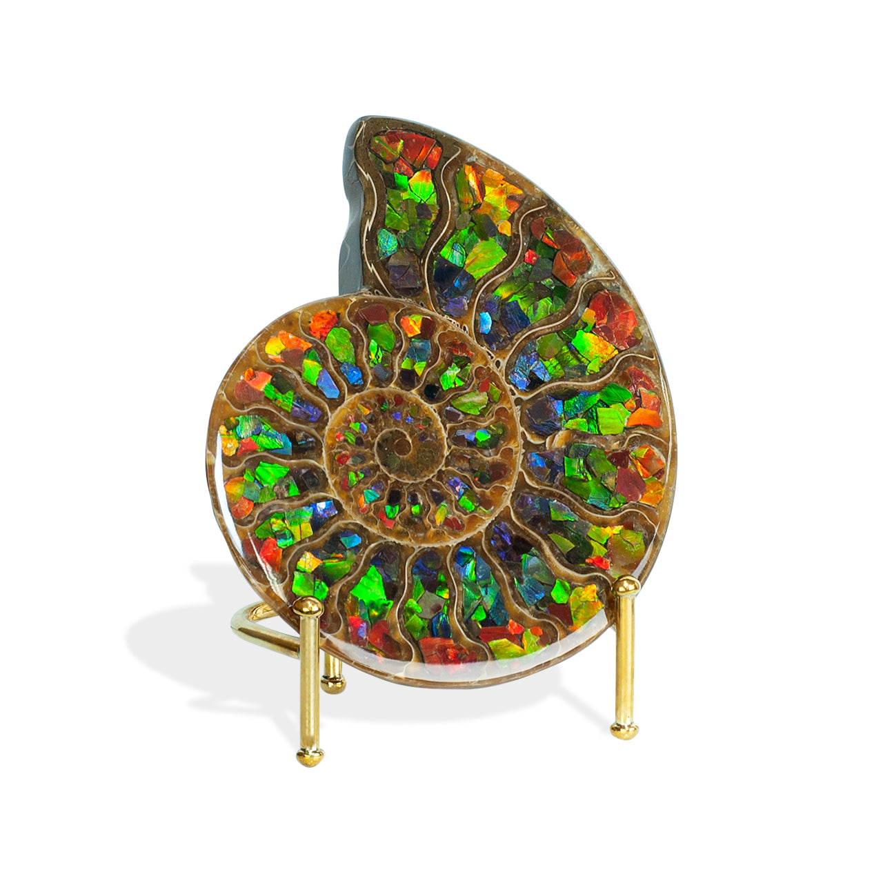 Mitad amonita Starborn con piedra de exhibición con incrustaciones de amolita 12 - 13 cm - 1 pieza