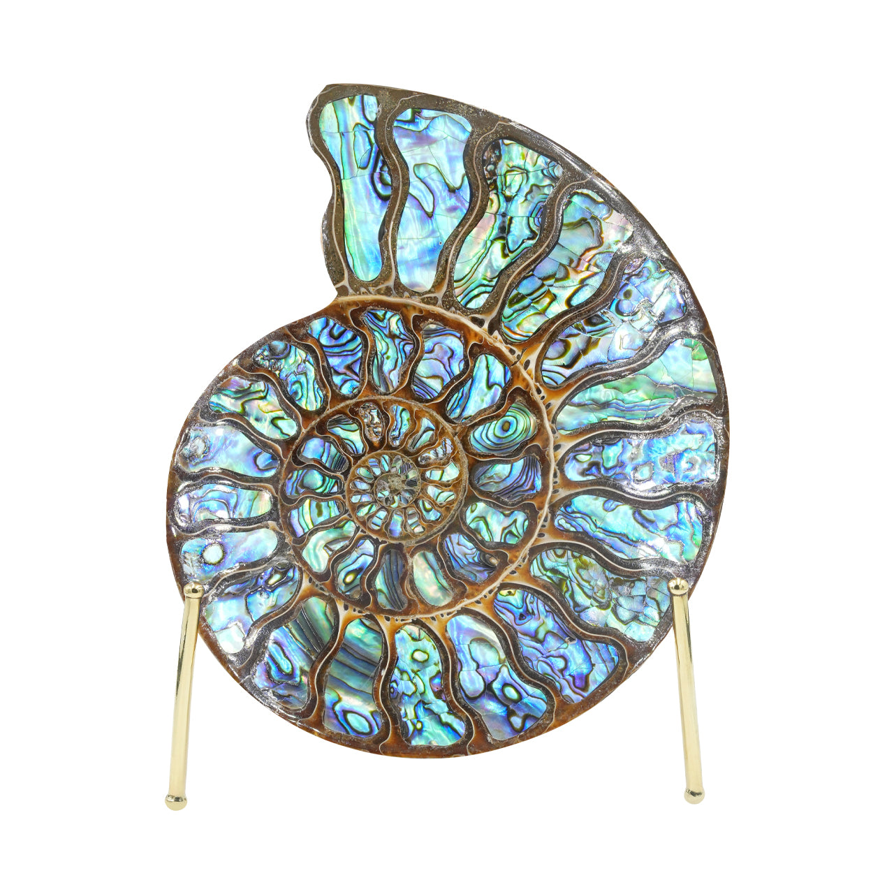 Starborn Ammonite with Abalone Shell Inlay 15-16cm Display Stone - 1 Piece
