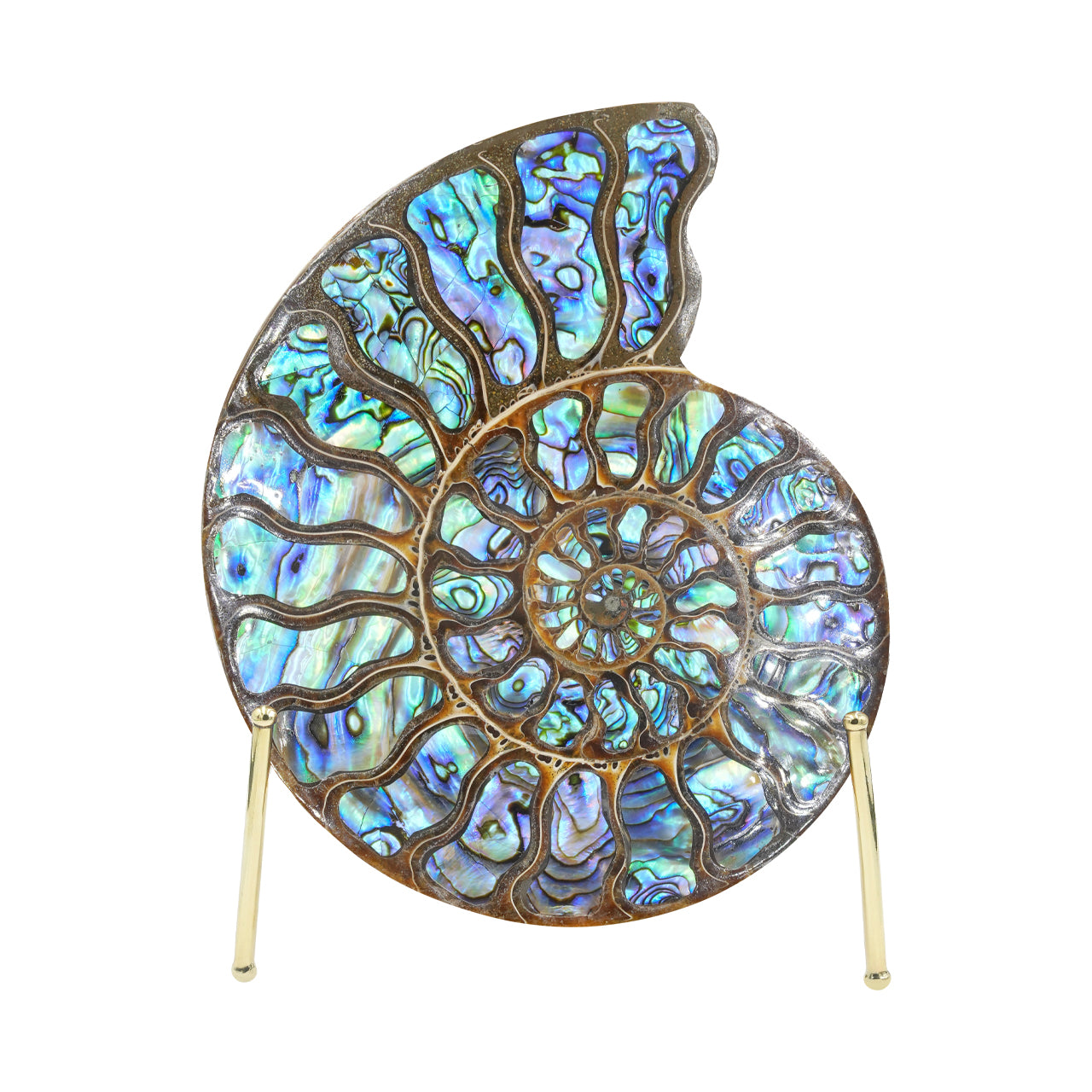 Starborn Ammonite with Abalone Shell Inlay 15-16cm Display Stone - 1 Piece