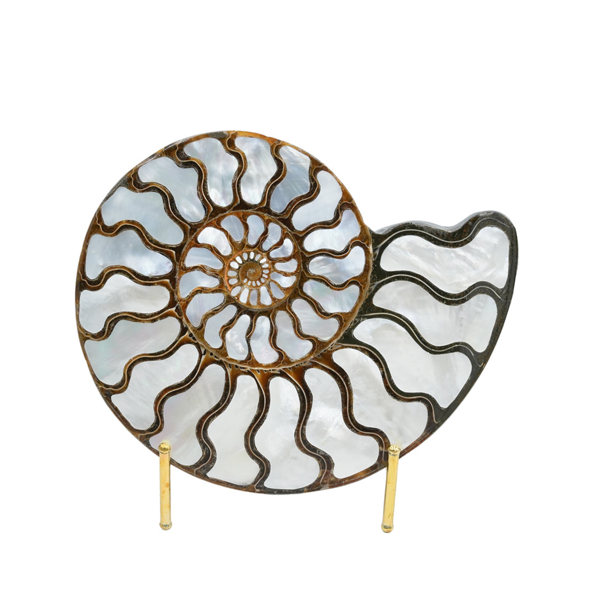 Starborn Ammonite with Mother of Pearl Inlay Display Stone - 1 Piece