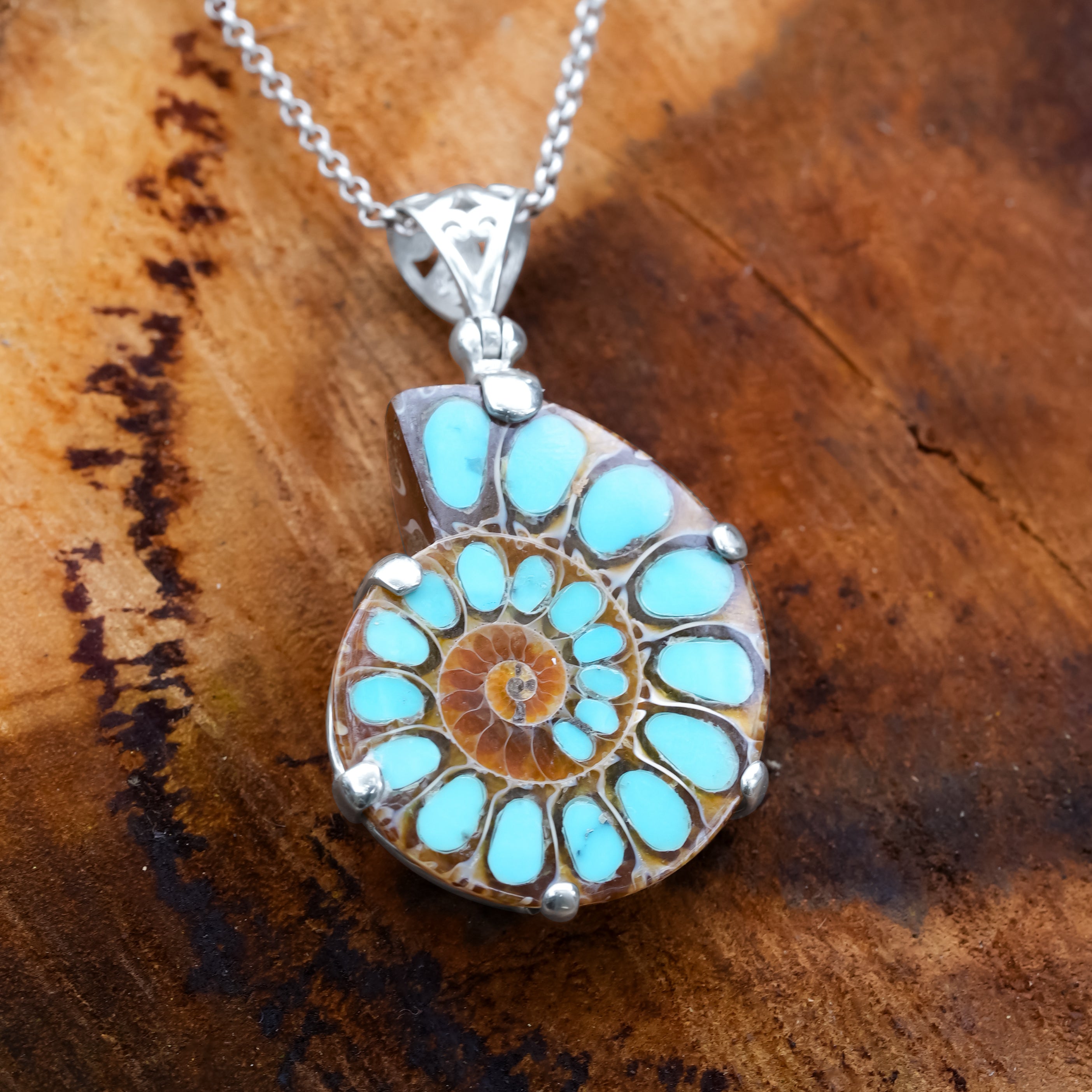 Starborn Ammonite with Turquoise Inlay Pendant in Sterling Silver
