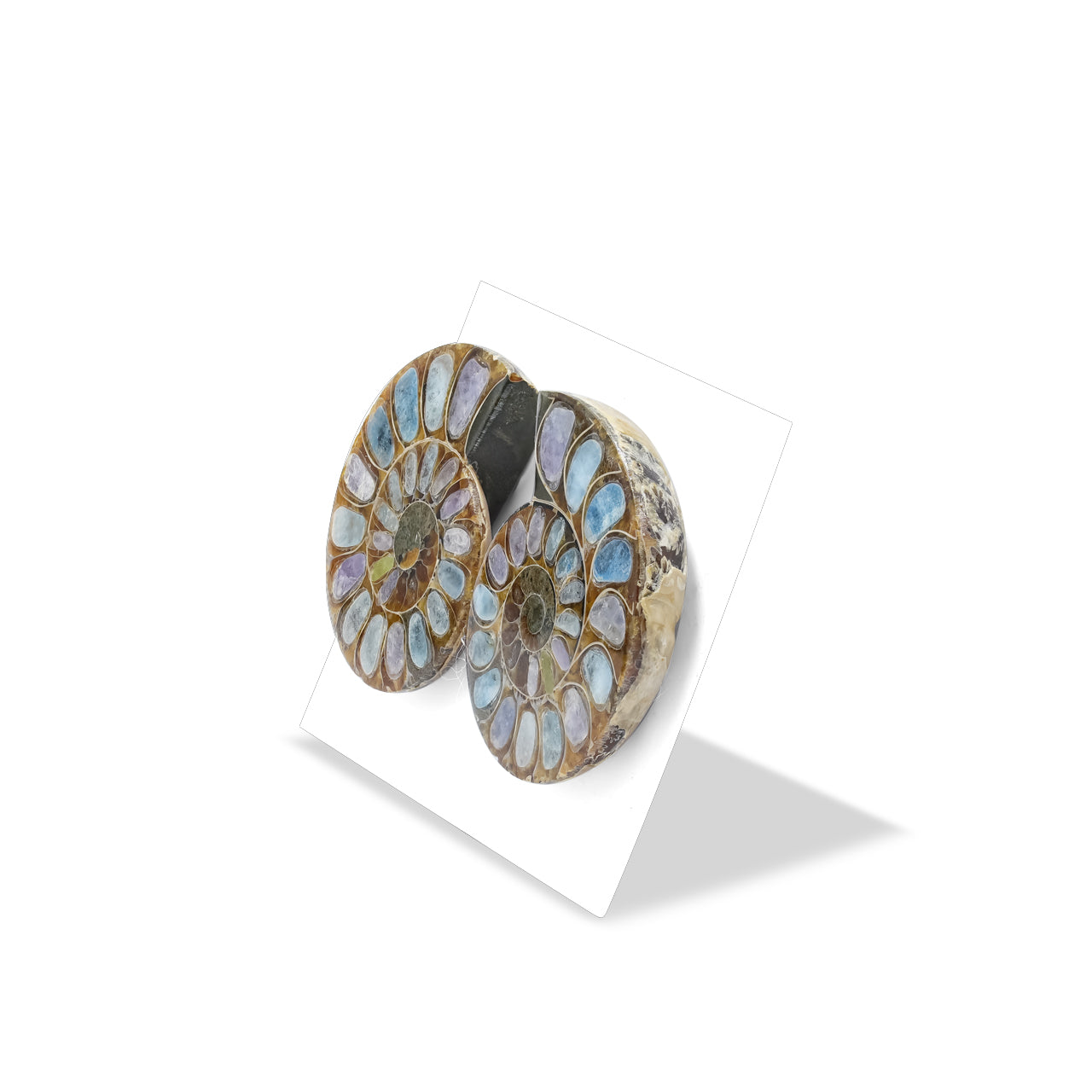 Ammonite Half with Fluorescent Hackmanite Inlay Cabochon 30-34 mm