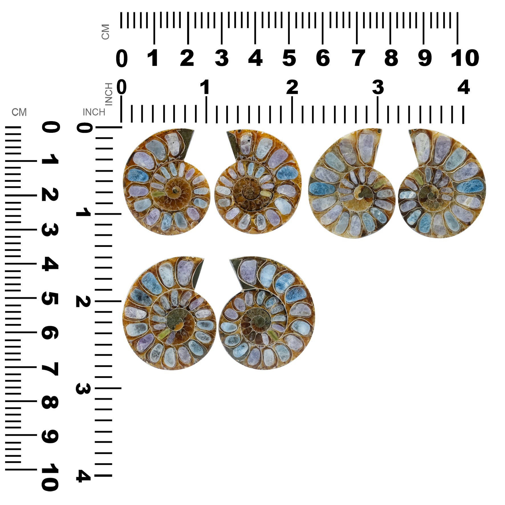 Ammonite Half with Fluorescent Hackmanite Inlay Cabochon 30-34 mm
