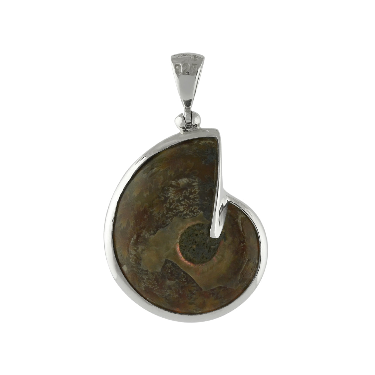 Starborn Ammonite with Turquoise Inlay Pendant in Sterling Silver