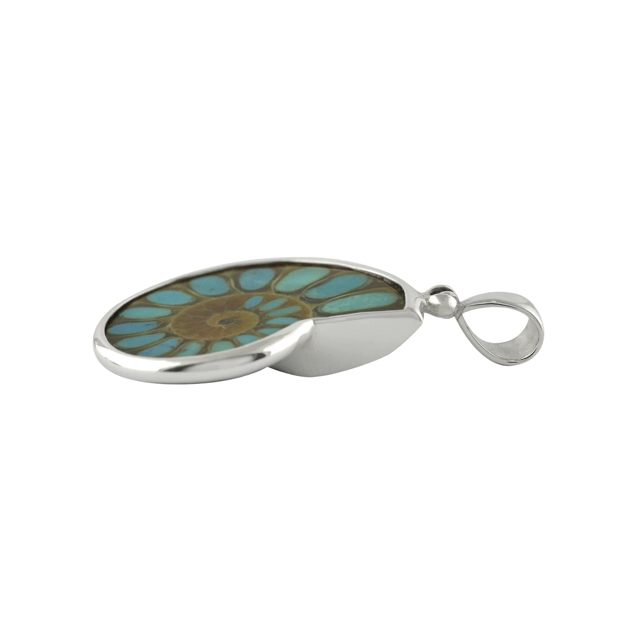 Starborn Ammonite with Turquoise Inlay Pendant in Sterling Silver