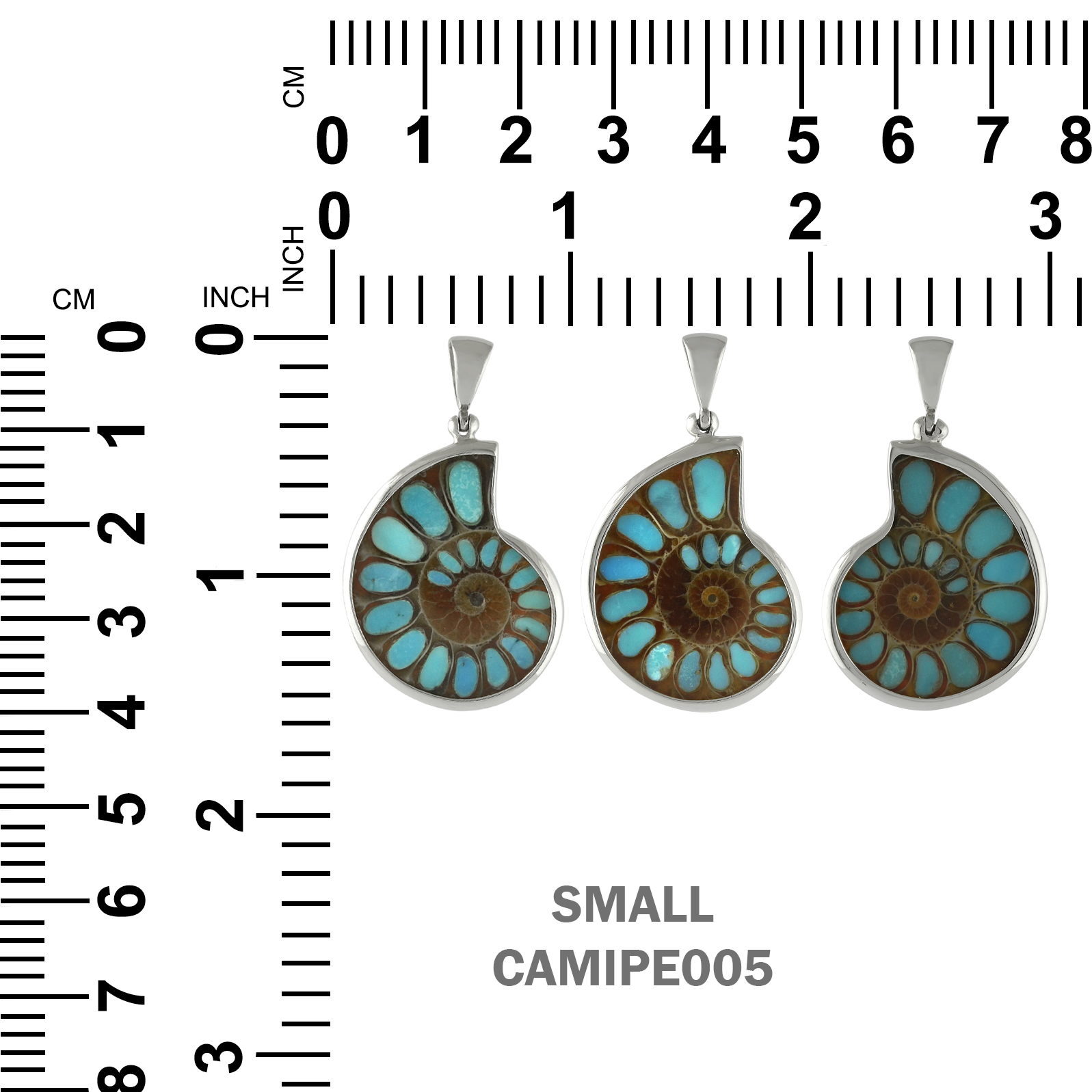 Starborn Ammonite with Turquoise Inlay Pendant in Sterling Silver