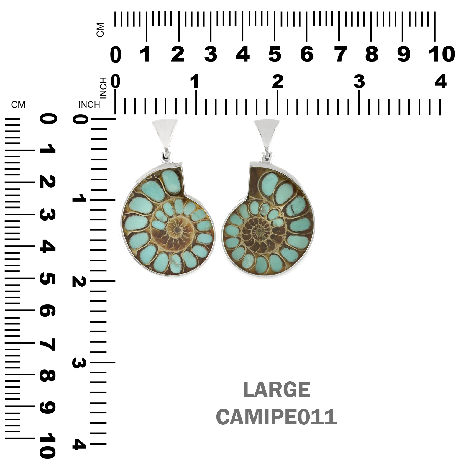 Starborn Ammonite with Turquoise Inlay Pendant in Sterling Silver