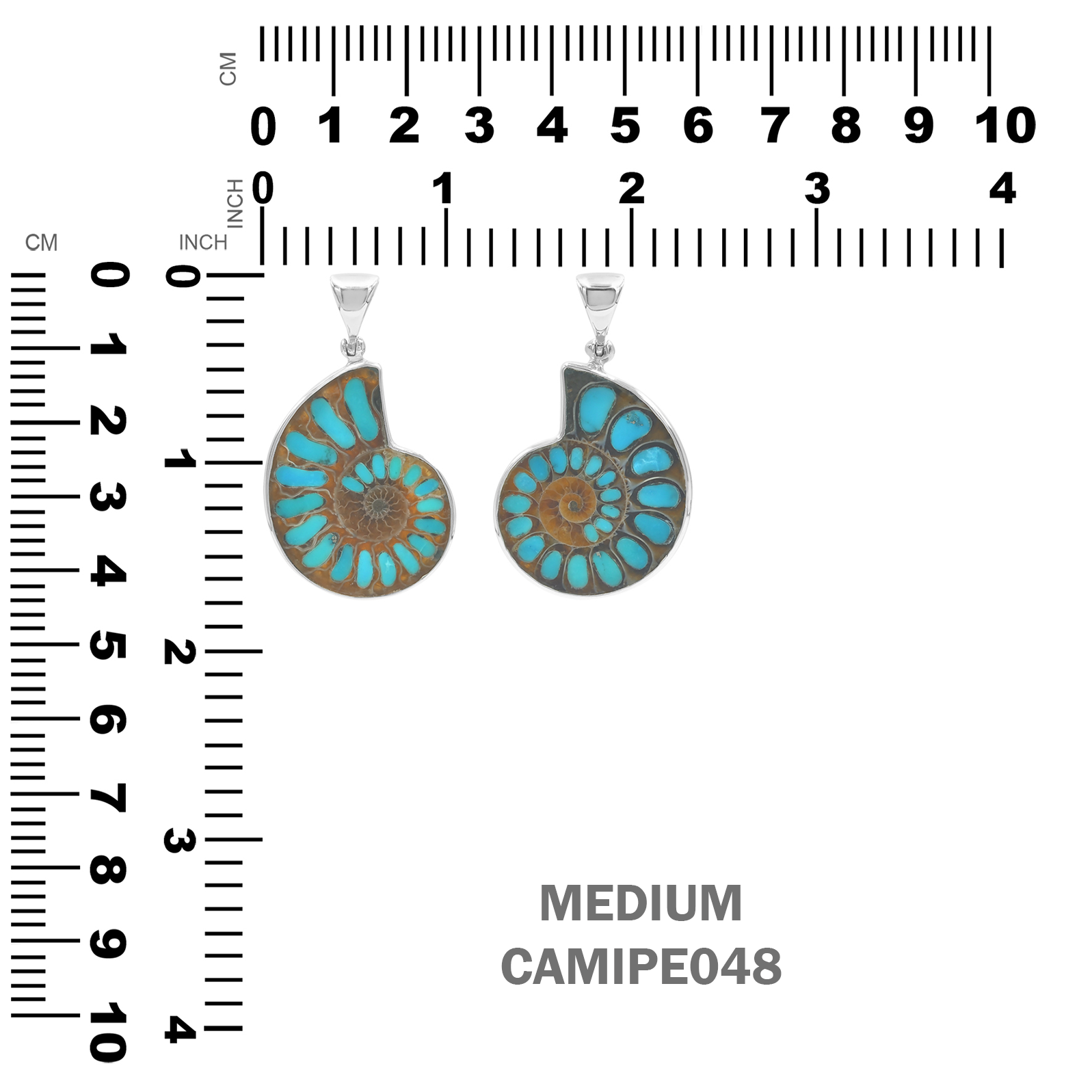 Starborn Ammonite with Turquoise Inlay Pendant in Sterling Silver