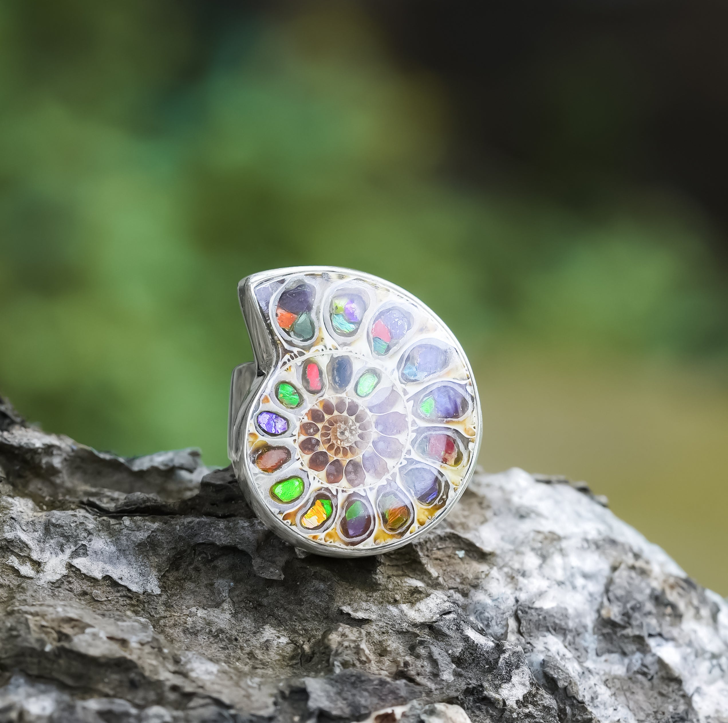 Starborn-Ammonit mit Ammolit-Muschel-Inlay-Ring aus Sterlingsilber