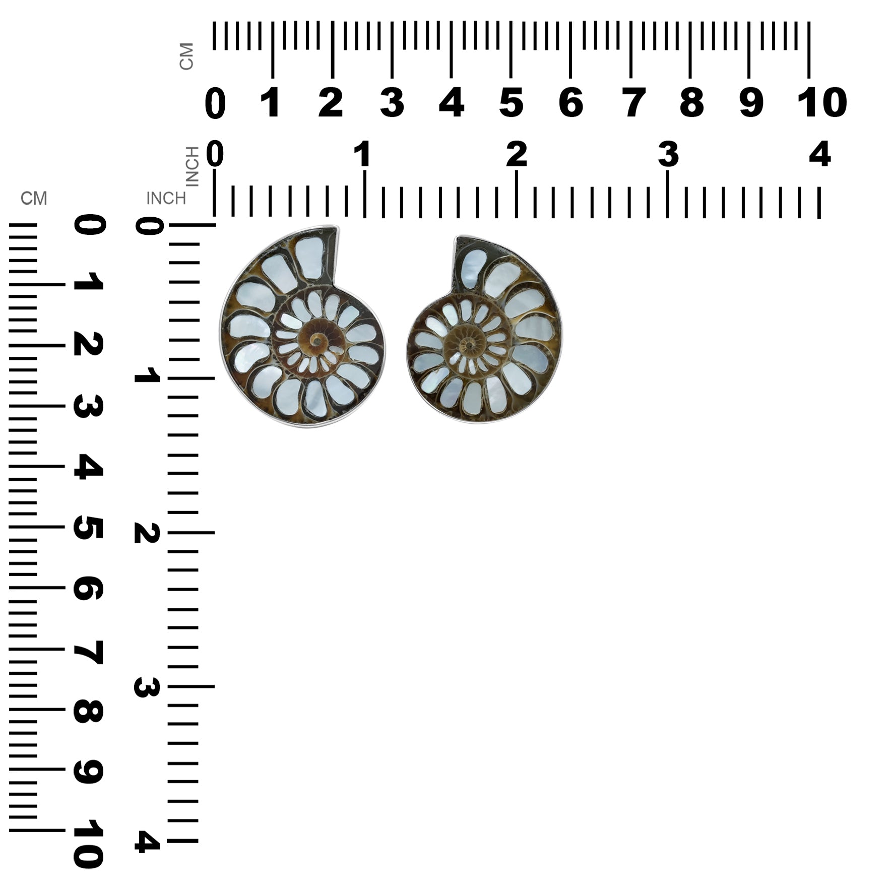 Starborn Ammonite with Mother of Pearl Inlay Ring in Sterling Silver - Large