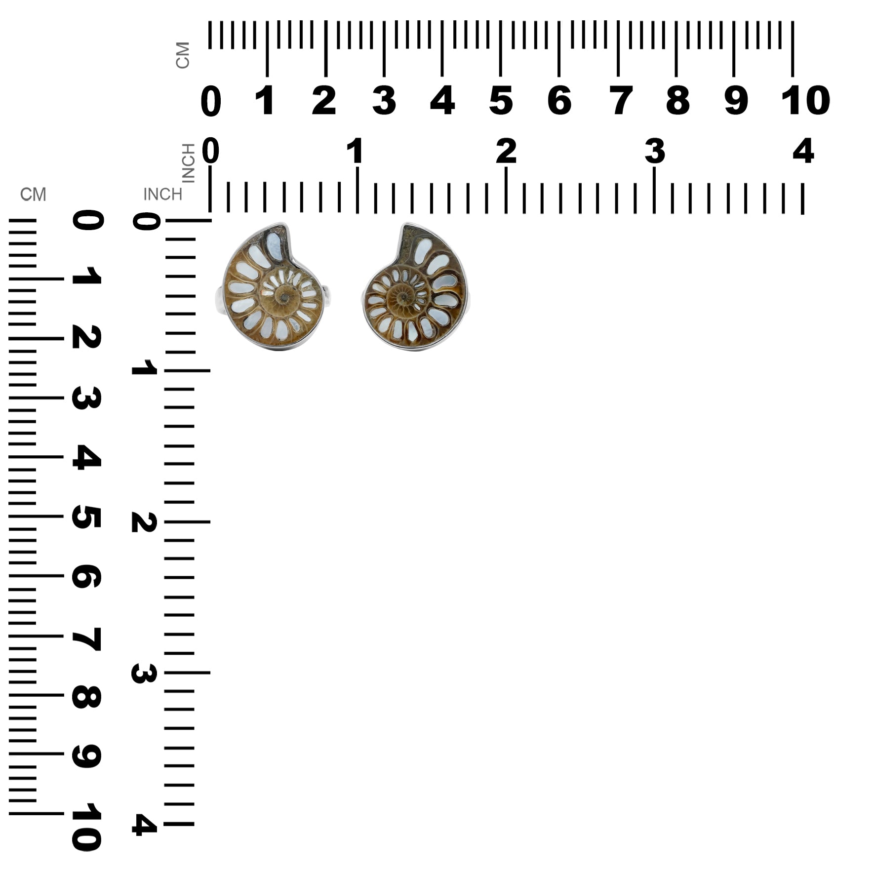 Starborn Ammonite with Mother of Pearl Inlay Ring in Sterling Silver - Small