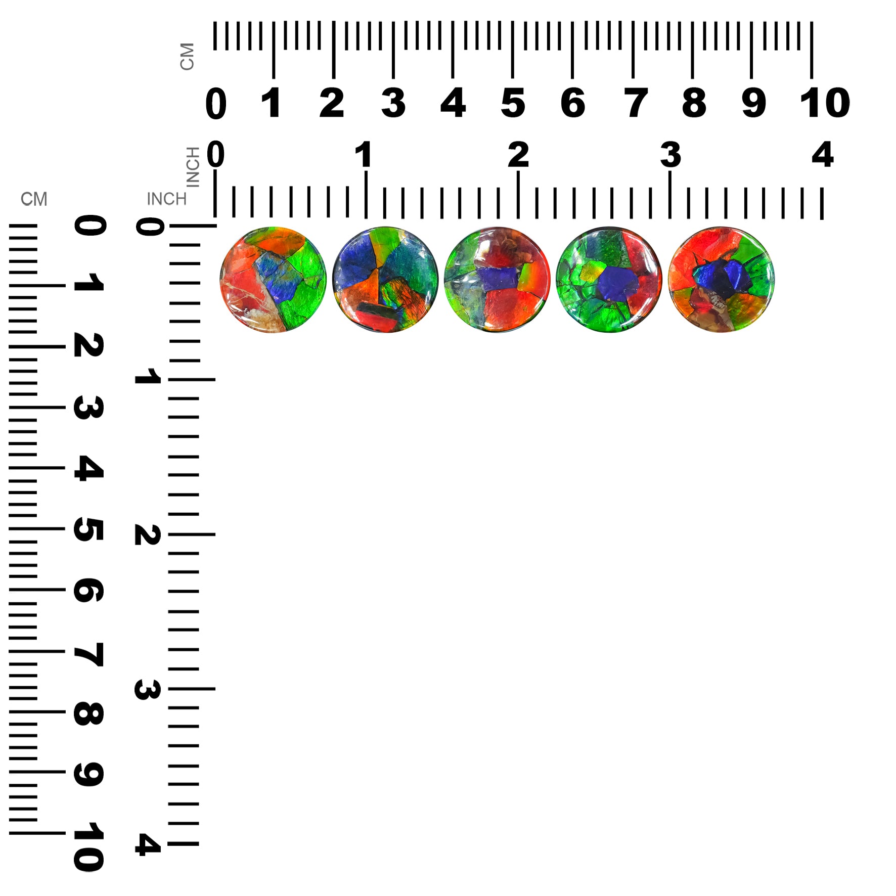 Starborn Ammolite Round Cabochon 15 mm, 1 Piece