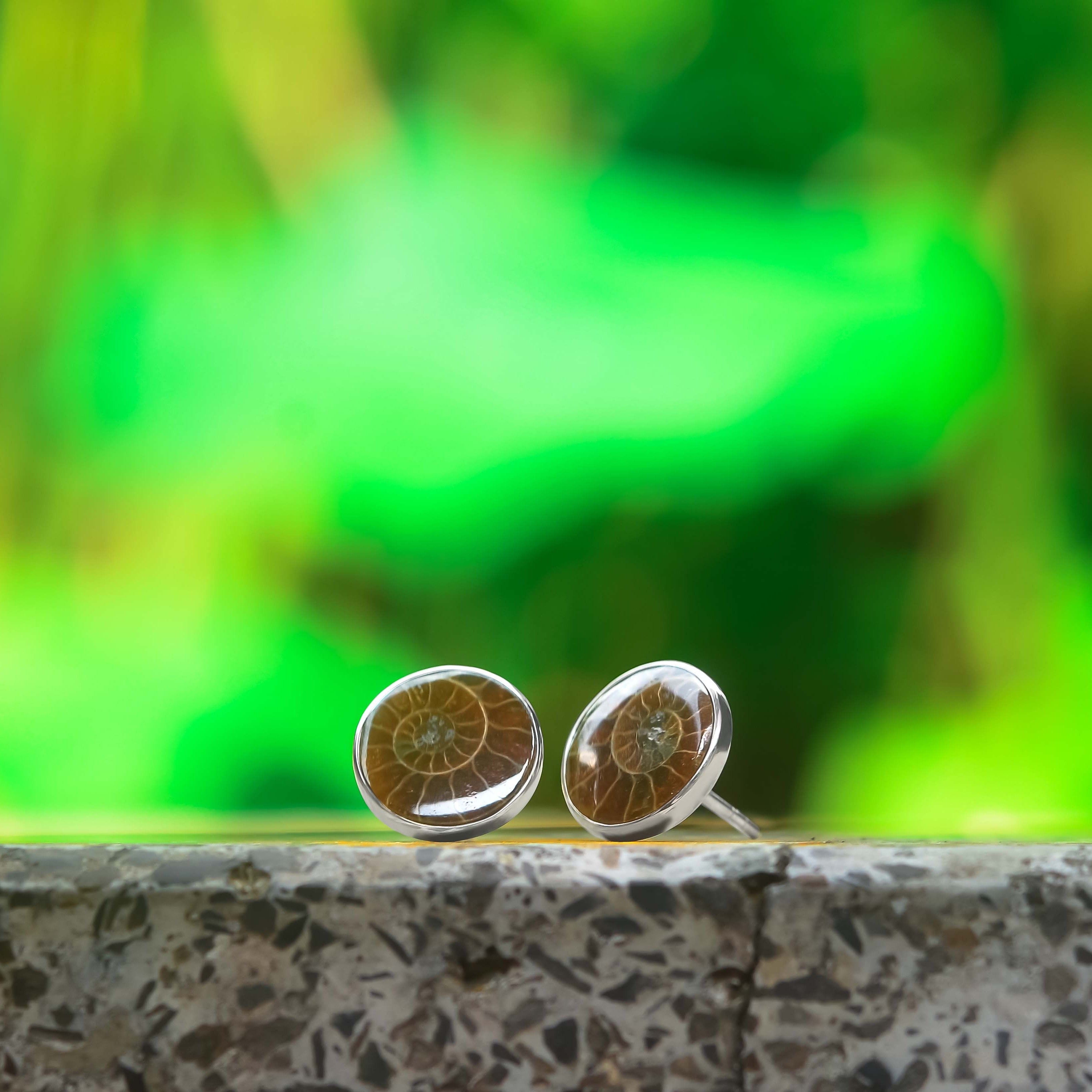 Aretes con forma de poste de amonita fosilizada de Starborn en plata de ley