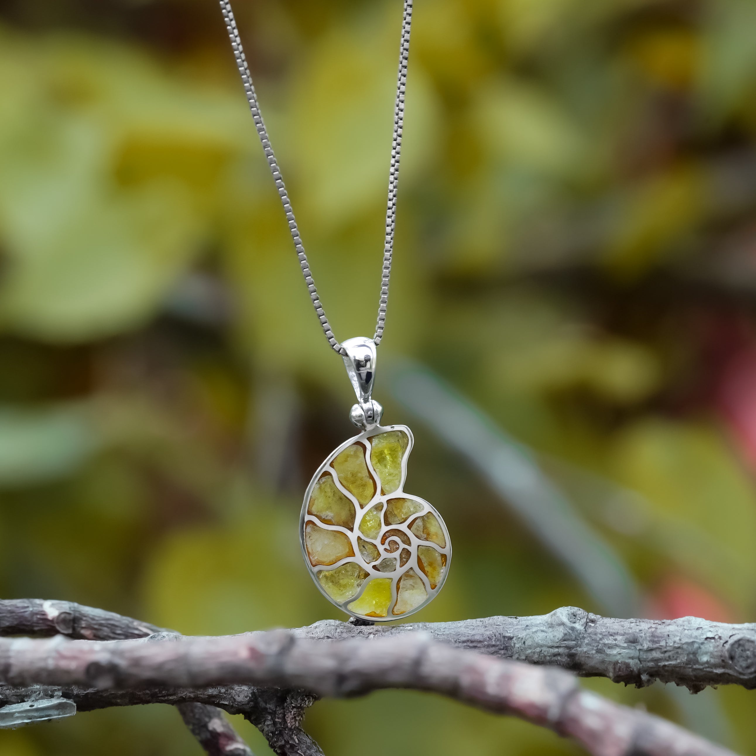 Starborn Gemstones Inlay Nautilus Ammonit Anhänger in Sterling Silber