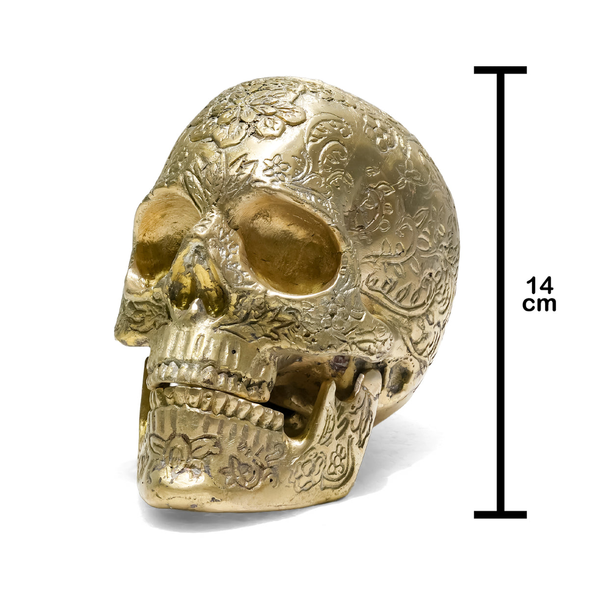  Starborn Gold Skull Bronze Statue with Intricate Details