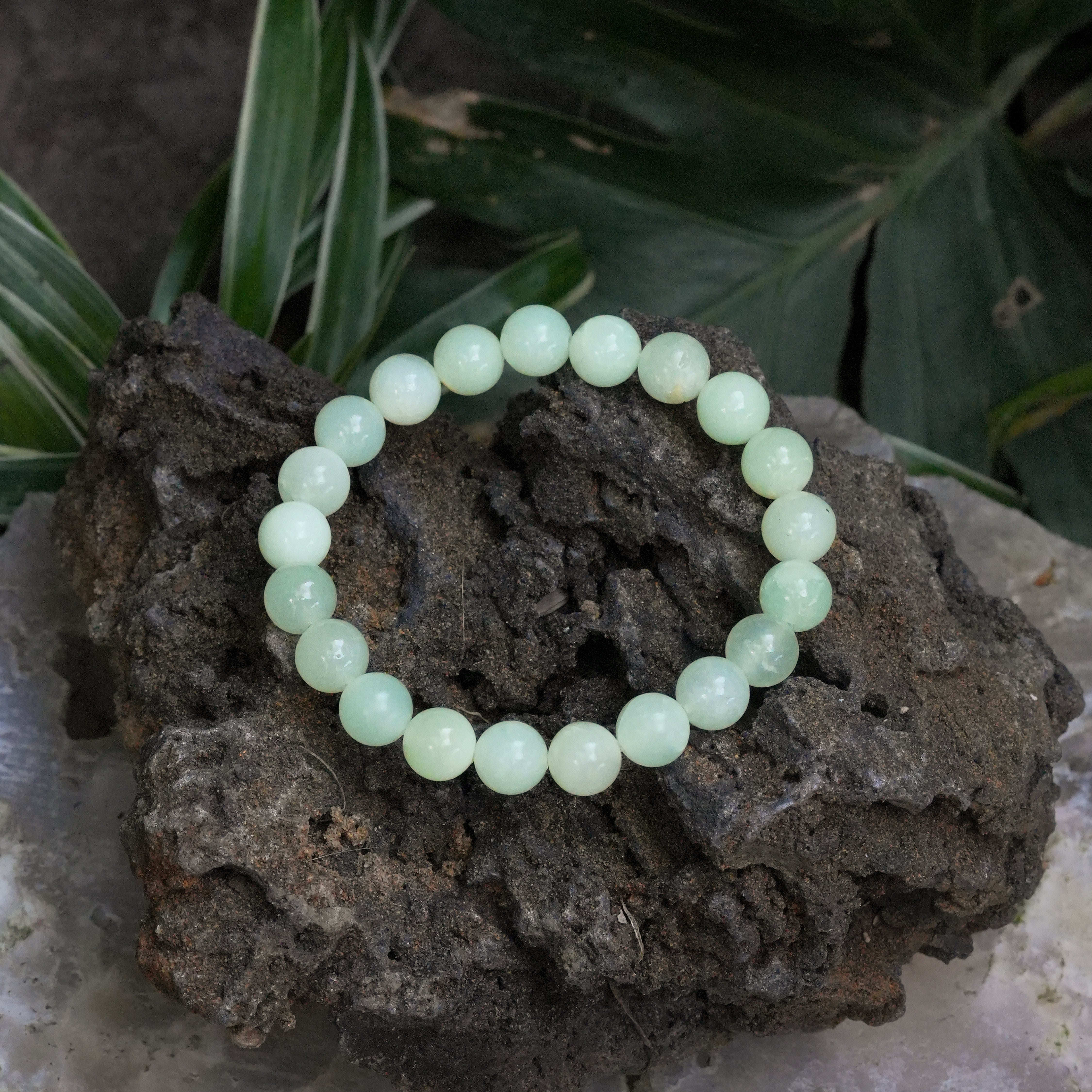 Pulsera elástica con cuentas de ammolita de 11 mm Starborn