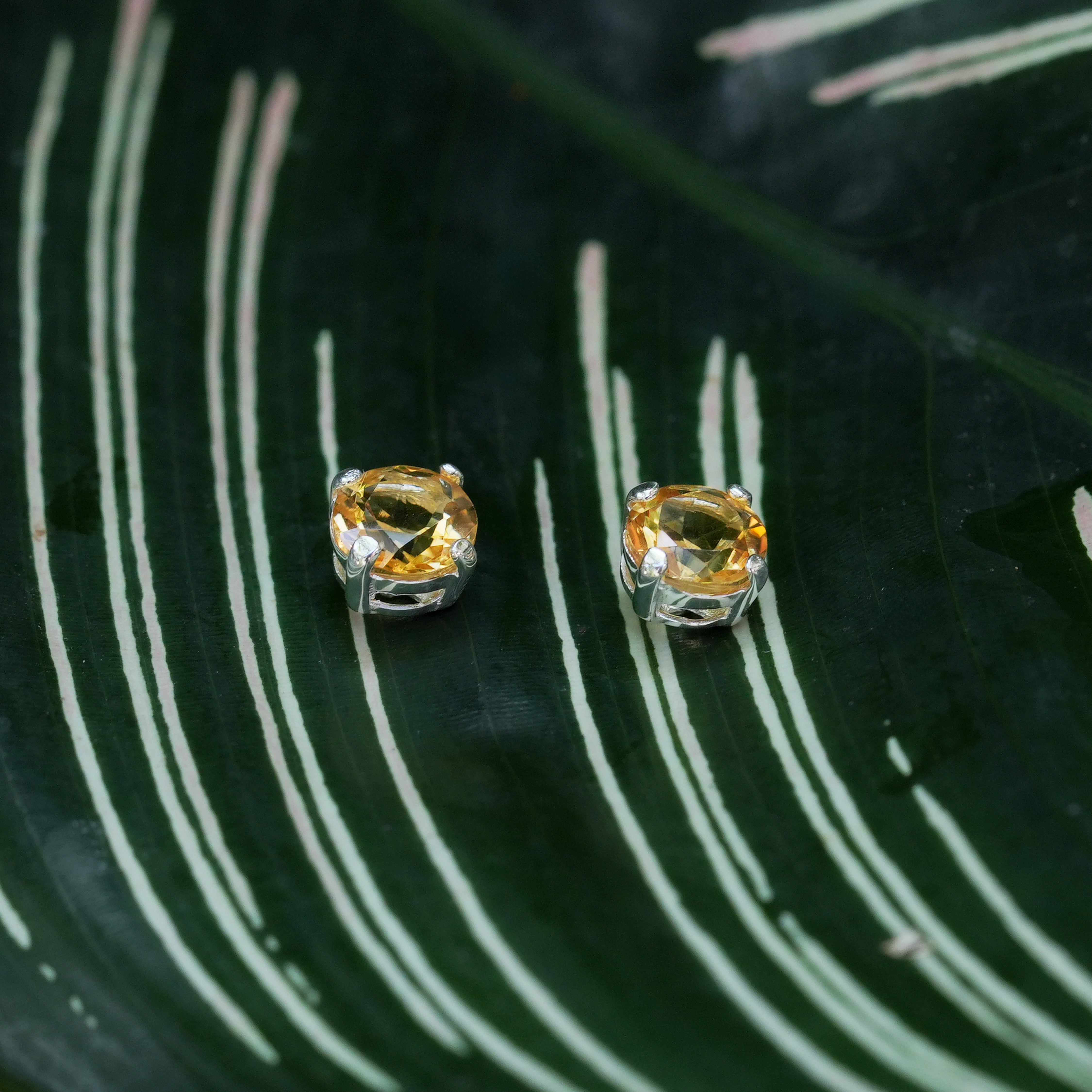 Starborn Citrine Faceted Round Post Earrings in Sterling Silver