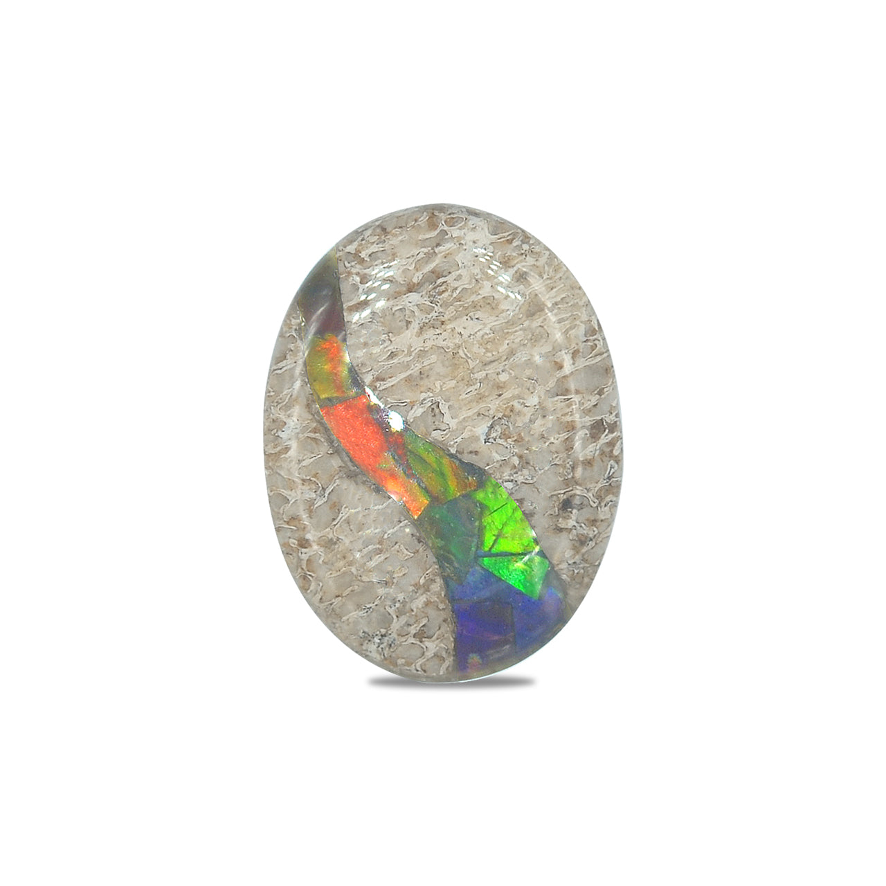 Starborn Fossil Dinosaur Bone with Ammolite Inlay Oval Cabochon - 1 piece