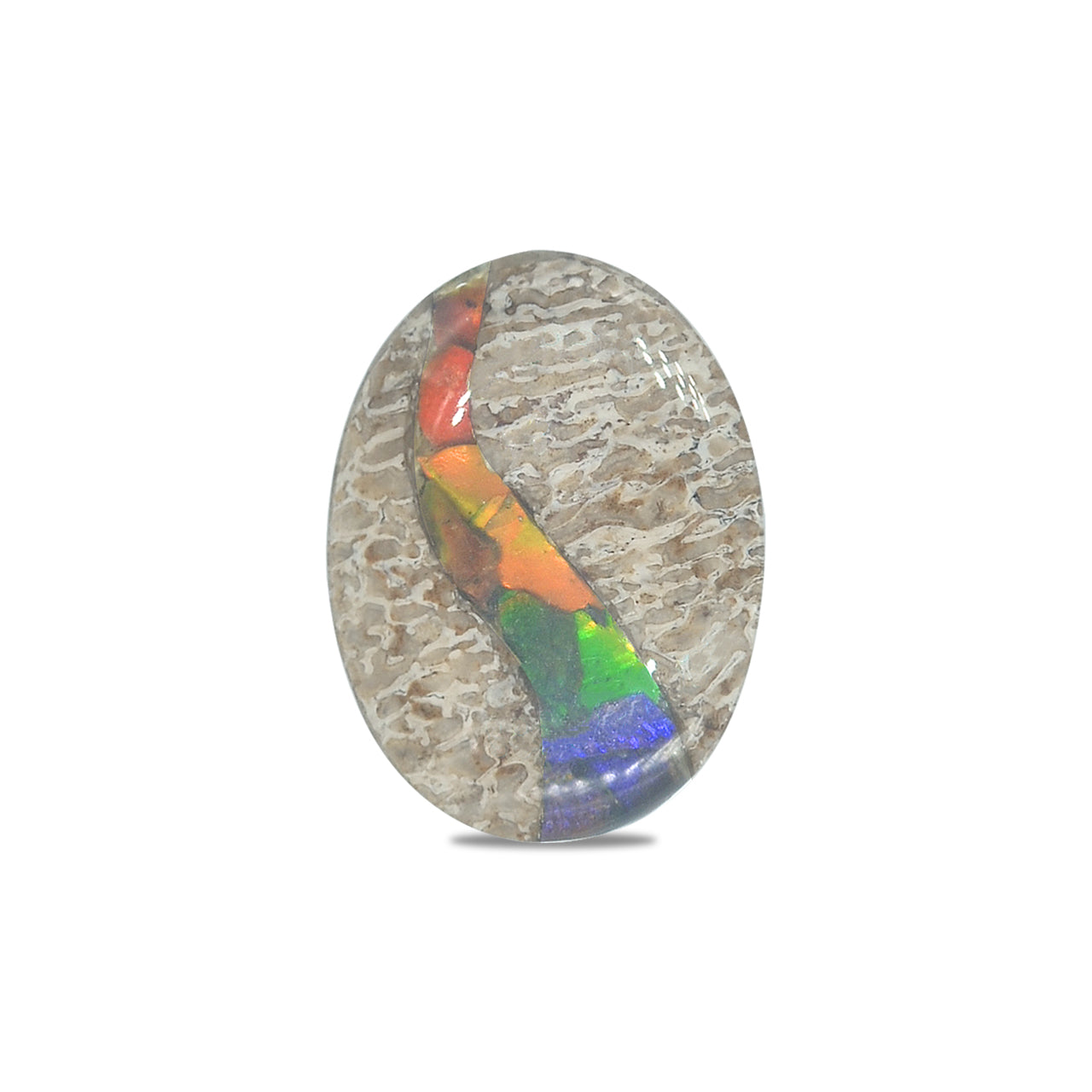 Starborn Fossil Dinosaur Bone with Ammolite Inlay Oval Cabochon - 1 piece