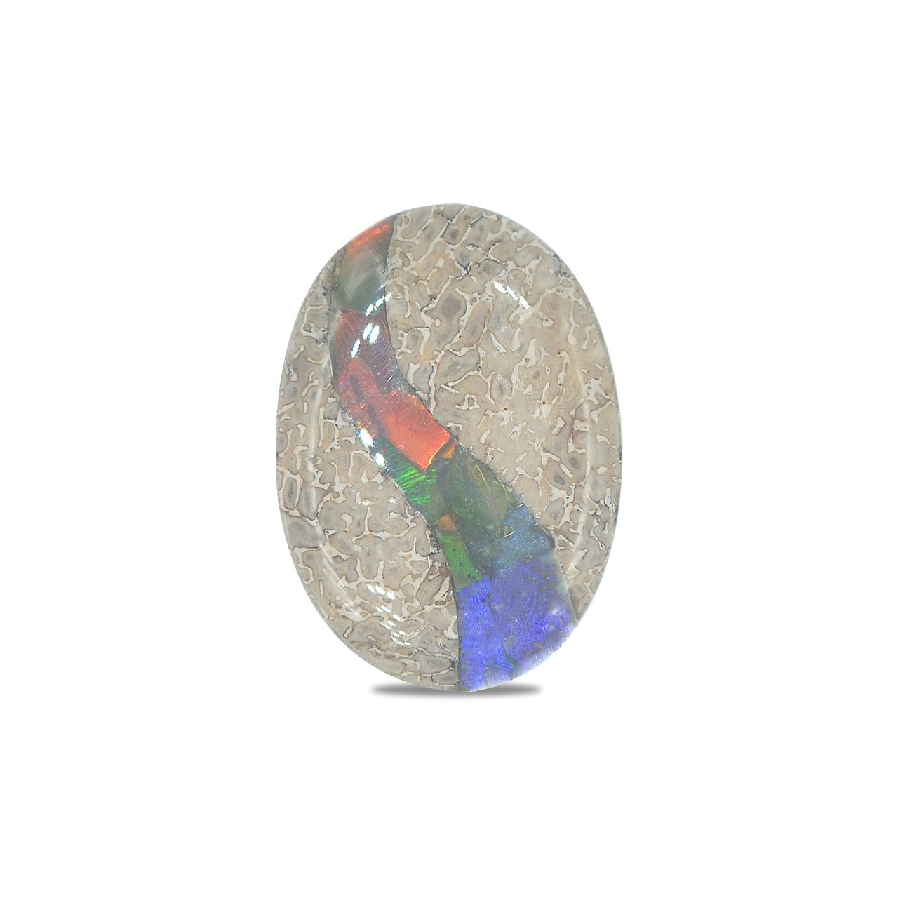 Starborn Fossil Dinosaur Bone with Ammolite Inlay Oval Cabochon - 1 piece