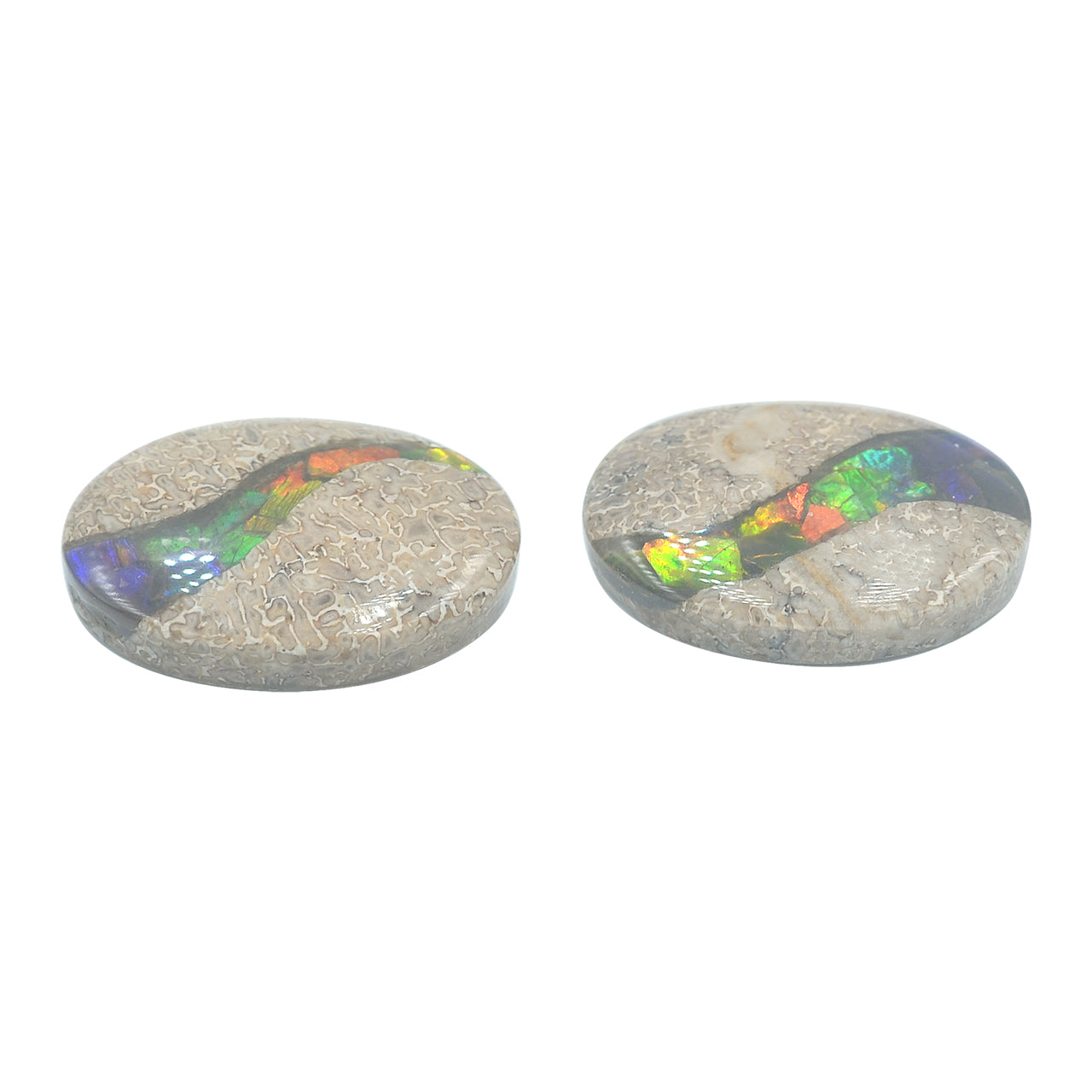Starborn Fossil Dinosaur Bone with Ammolite Inlay Oval Cabochon - 1 piece