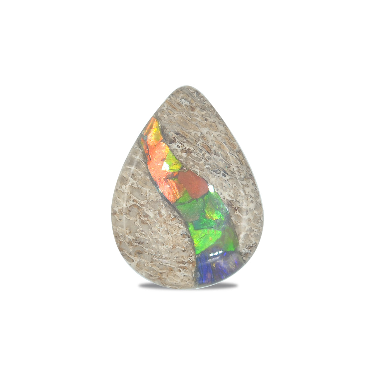 Hueso de dinosaurio fósil con pera cabujón con incrustaciones de ammolita - 1 pieza