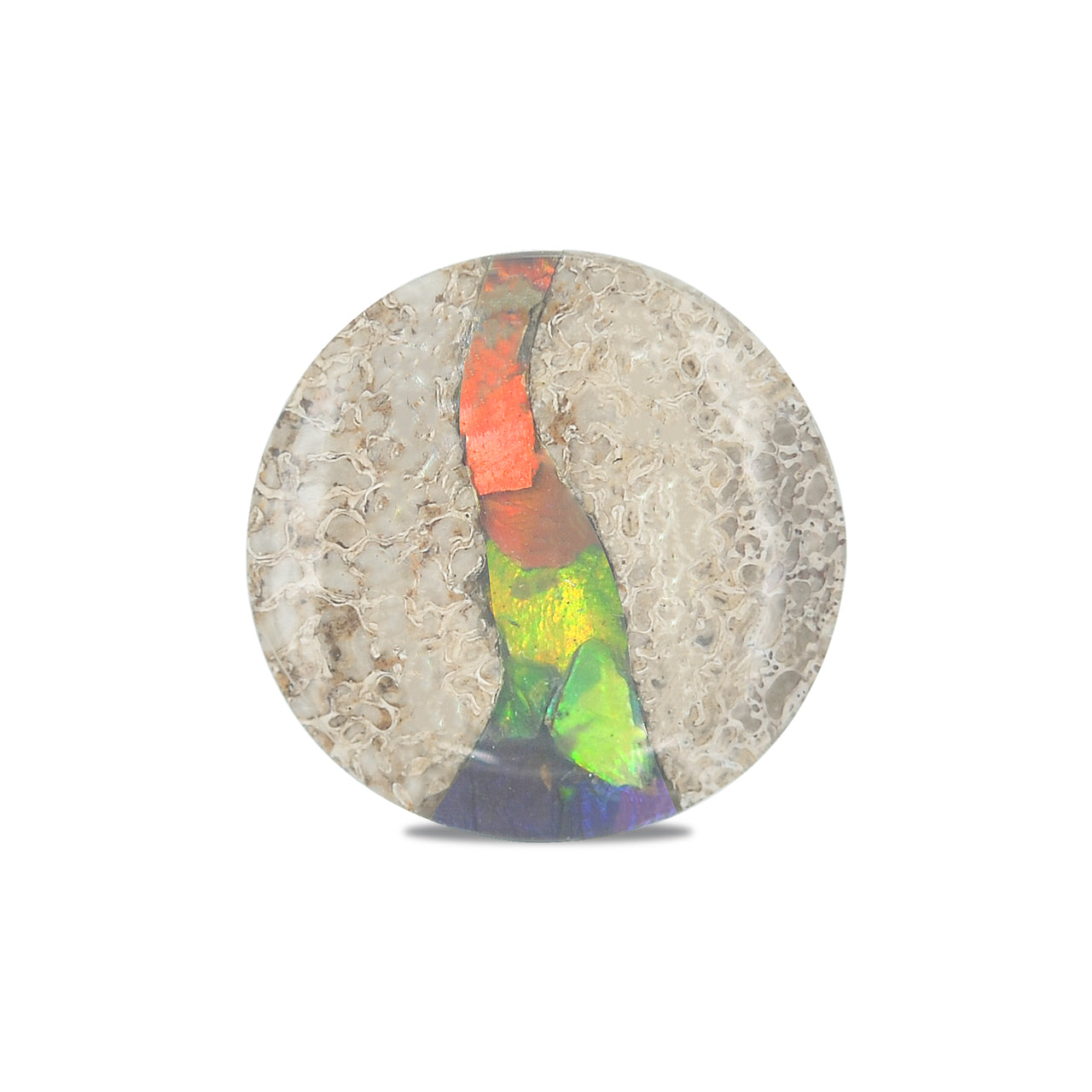 Hueso de dinosaurio fósil Starborn con cabujón redondo con incrustaciones de ammolita - 1 pieza