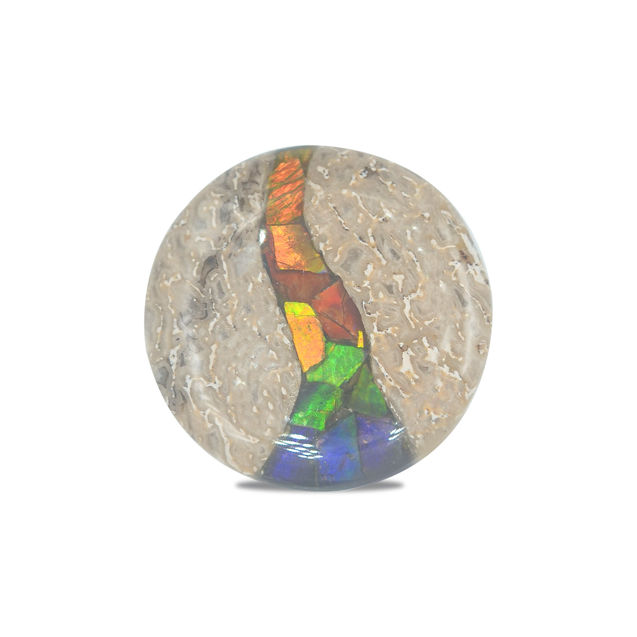 Hueso de dinosaurio fósil Starborn con cabujón redondo con incrustaciones de ammolita - 1 pieza