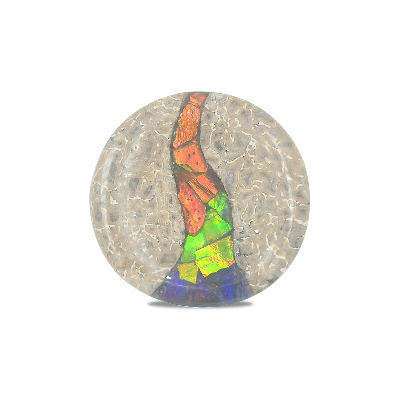 Hueso de dinosaurio fósil Starborn con cabujón redondo con incrustaciones de ammolita - 1 pieza