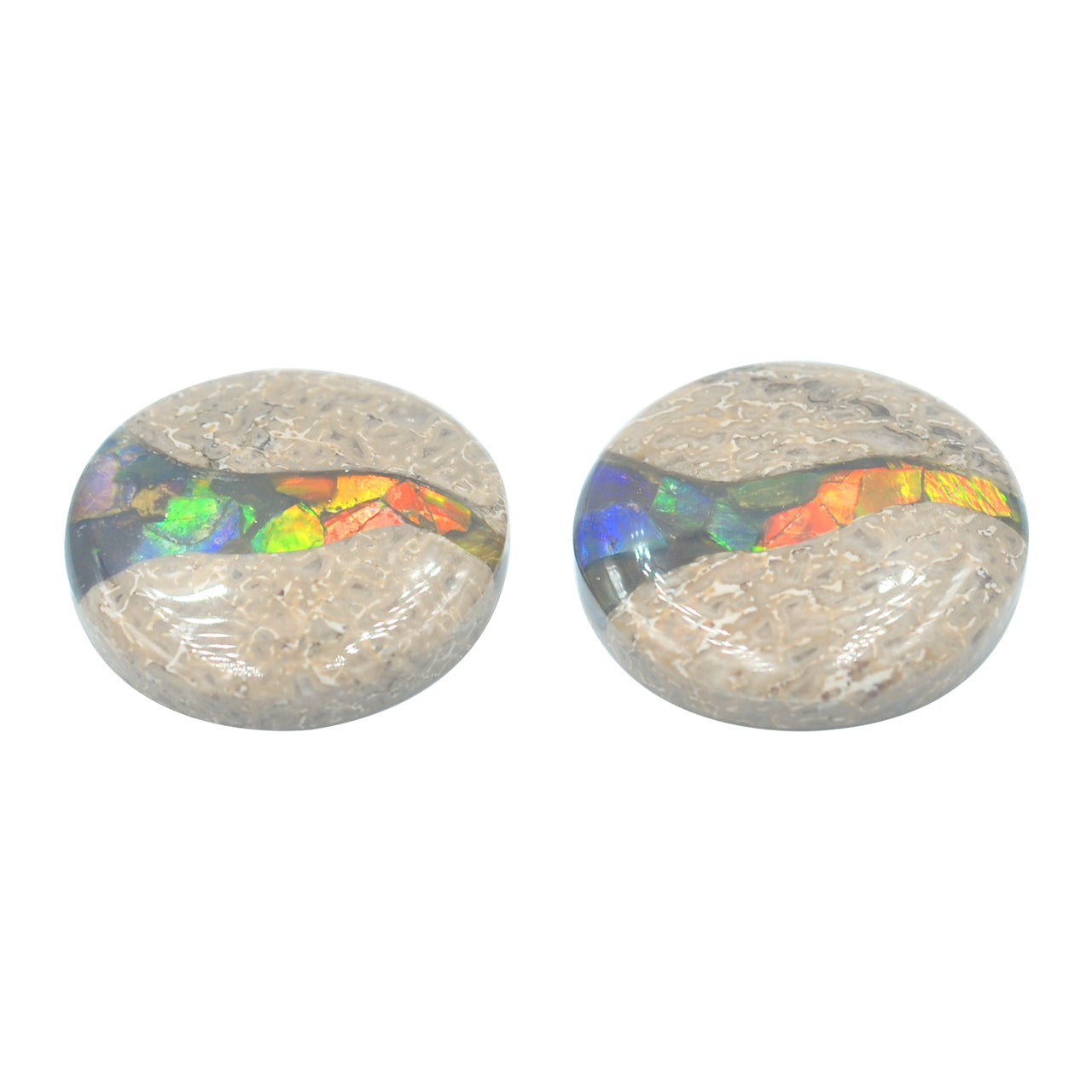 Hueso de dinosaurio fósil Starborn con cabujón redondo con incrustaciones de ammolita - 1 pieza