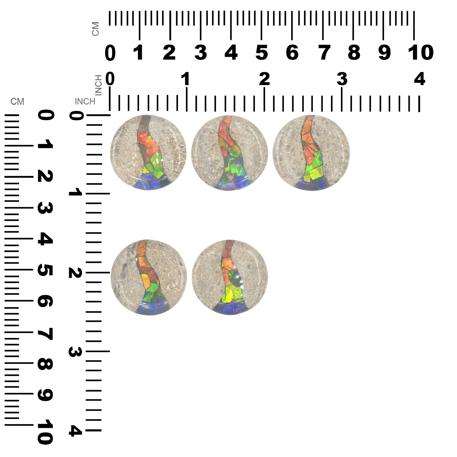 Hueso de dinosaurio fósil Starborn con cabujón redondo con incrustaciones de ammolita - 1 pieza