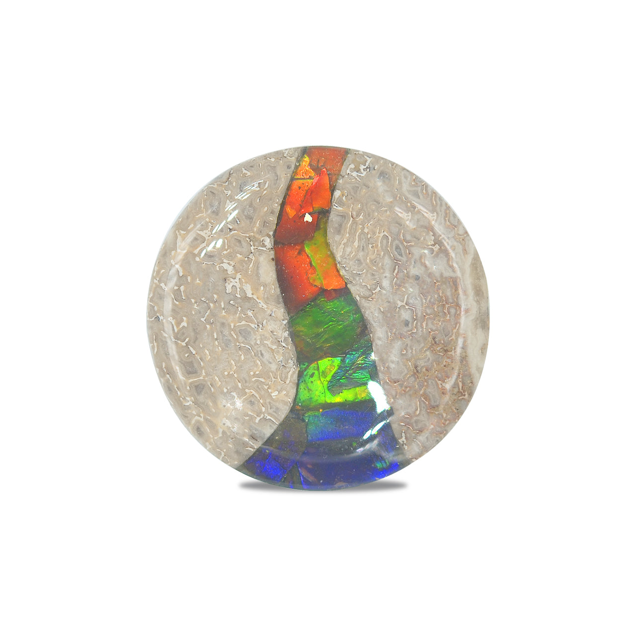 Hueso de dinosaurio fósil Starborn con cabujón redondo con incrustaciones de ammolita - 1 pieza