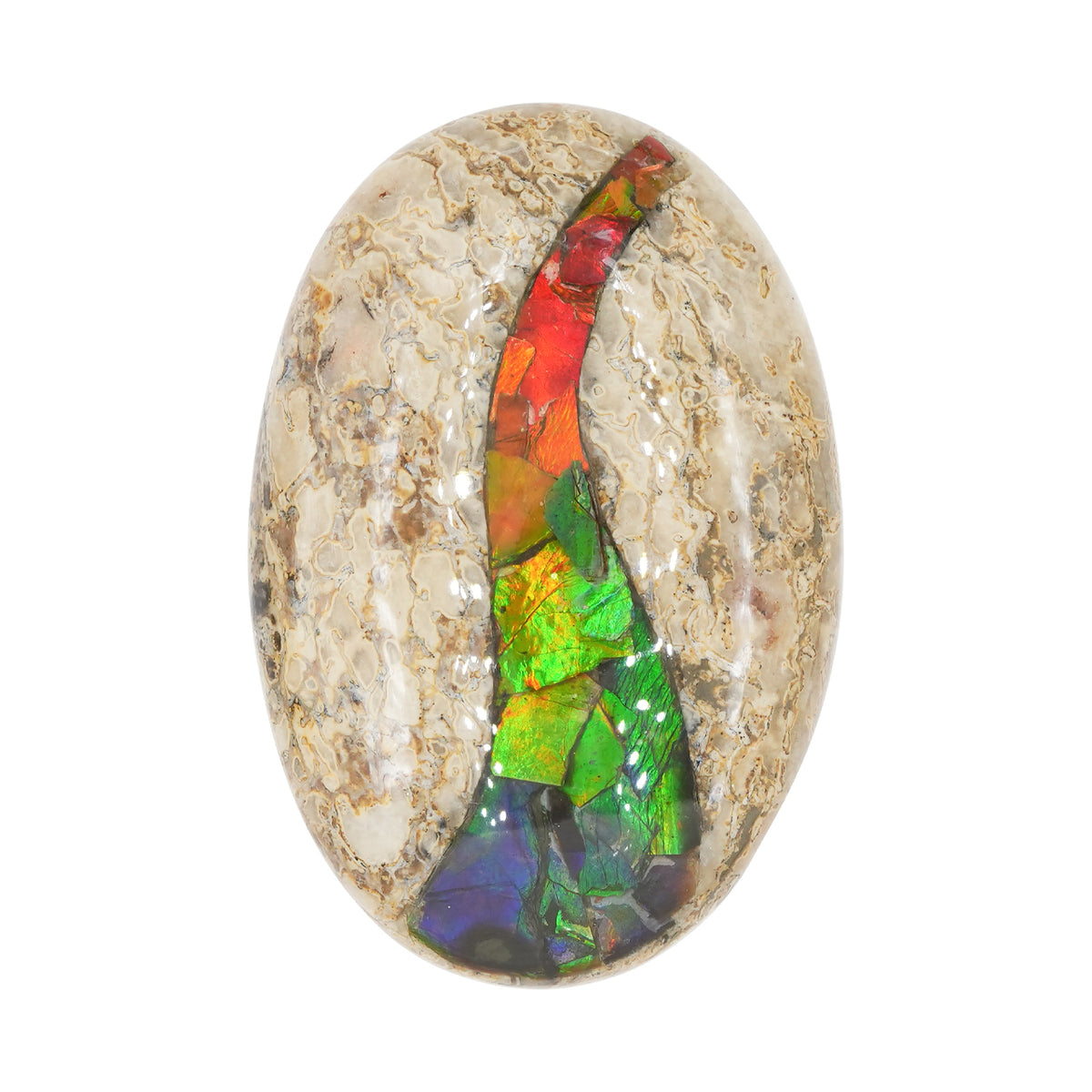 Starborn Fossilien-Dinosaurierknochen mit Ammolit-Einlagen-Handschmeichler – 1 Stück