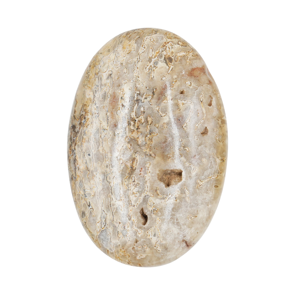 Starborn Fossilien-Dinosaurierknochen mit Ammolit-Einlagen-Handschmeichler – 1 Stück