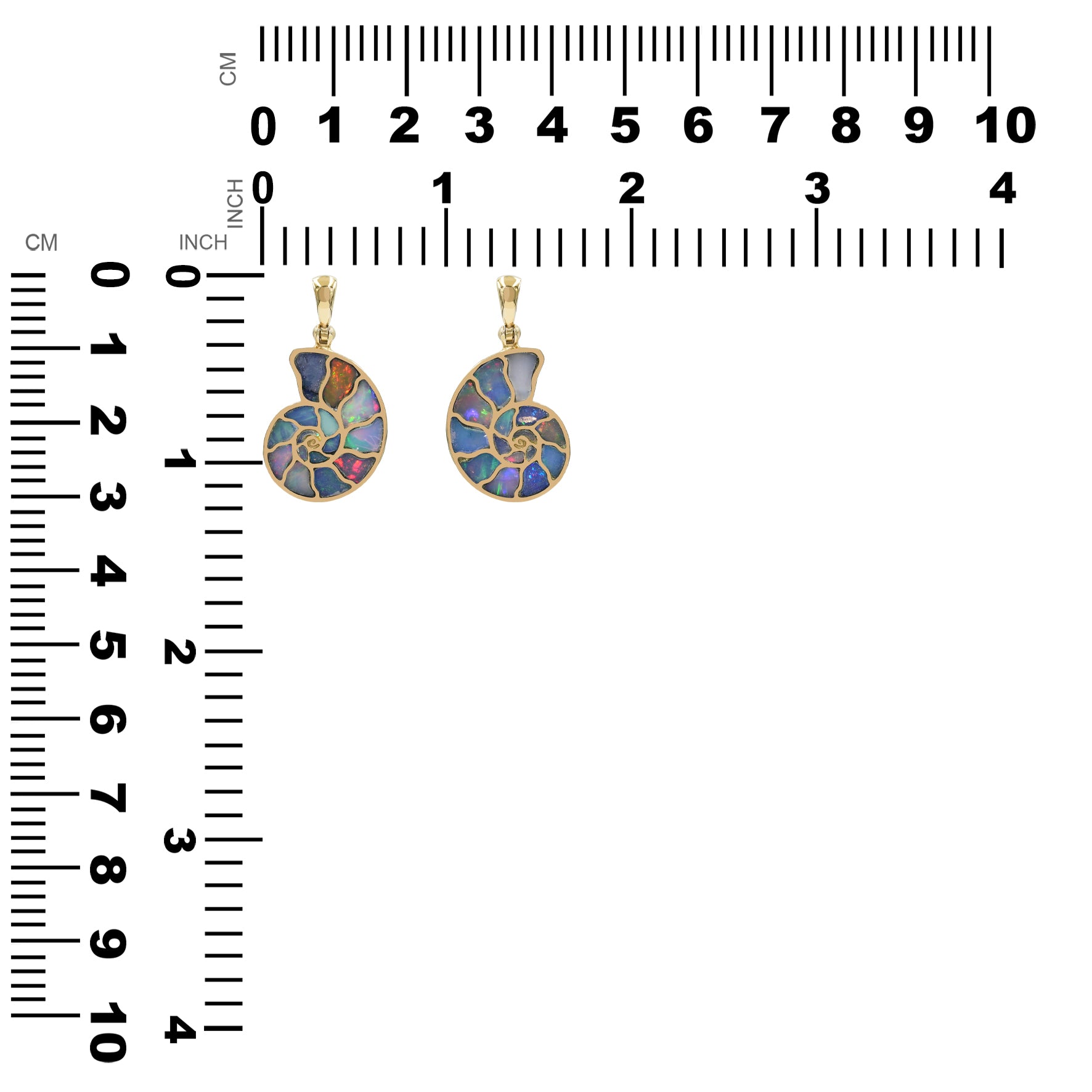 Pair of nordic gold nautilus ammonite pendants with Ethiopian Opal inlay displayed next to measurement chart showing height and width in inches and centimeters. 