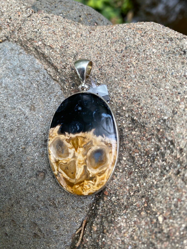 Starborn Fossilized Palm Wood Oval Pendant in Sterling Silver