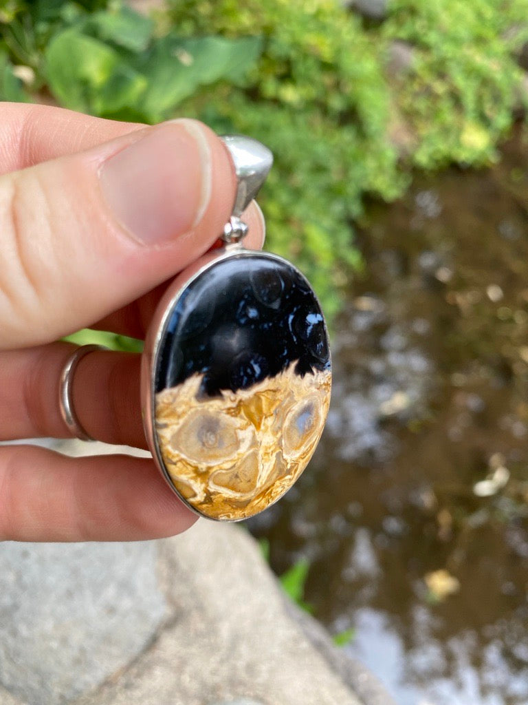 Starborn Fossilized Palm Wood Oval Pendant in Sterling Silver