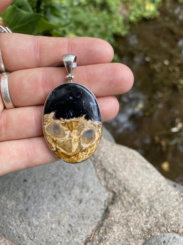 Starborn Fossilized Palm Wood Oval Pendant in Sterling Silver